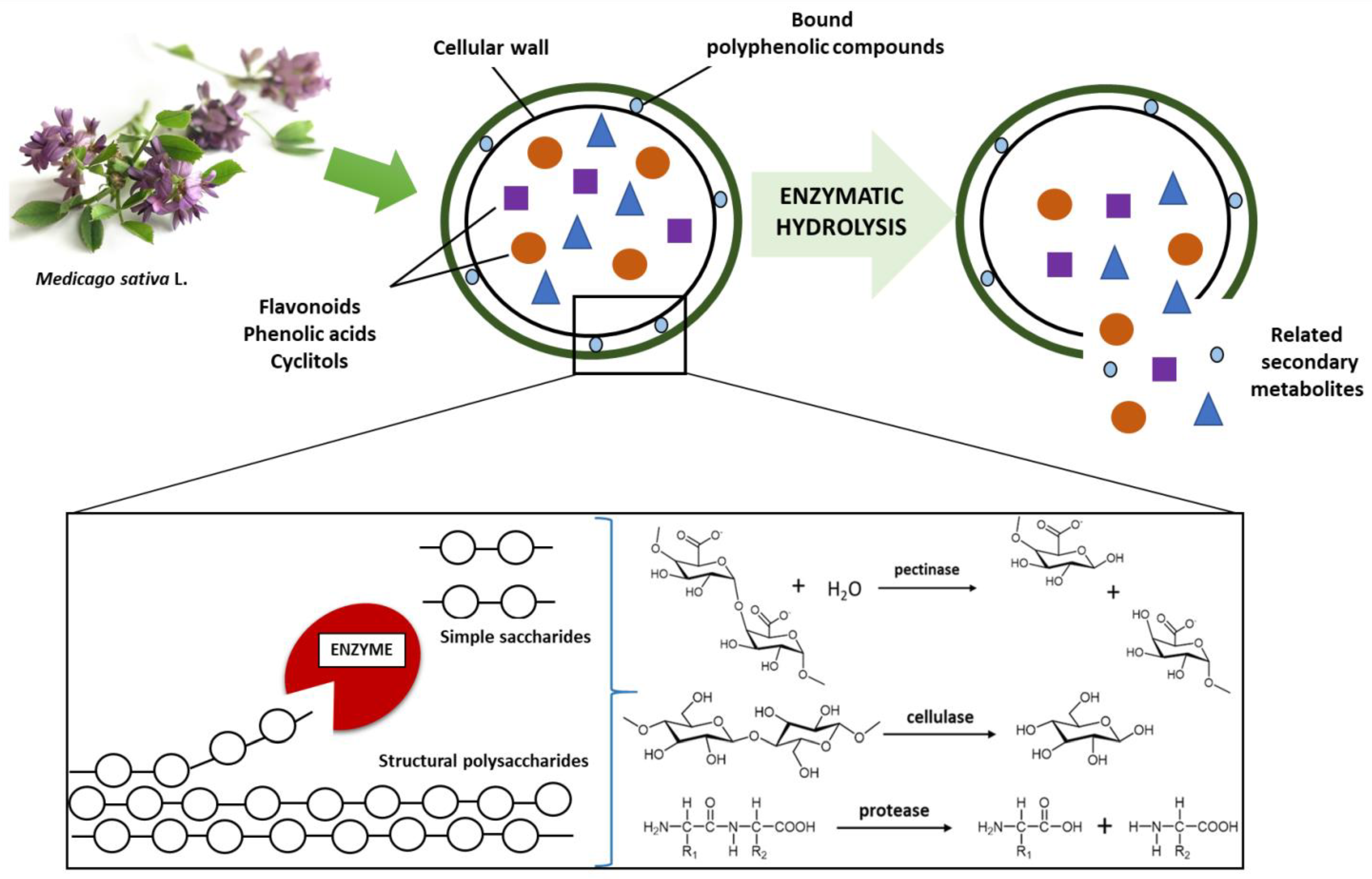 Molecules 27 00730 g008 550
