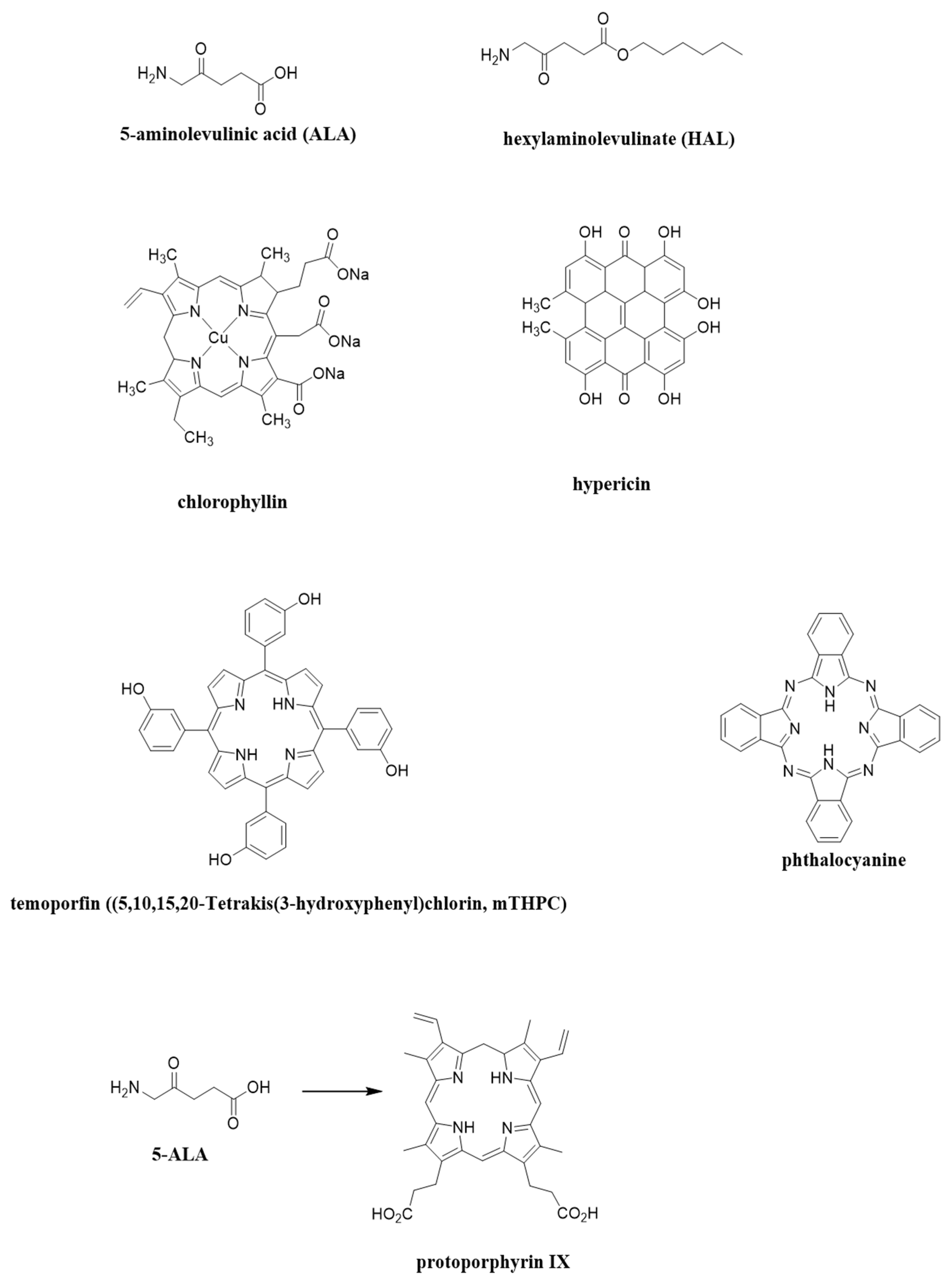 Molecules 27 00731 g002 Molecules 27 00731 g002