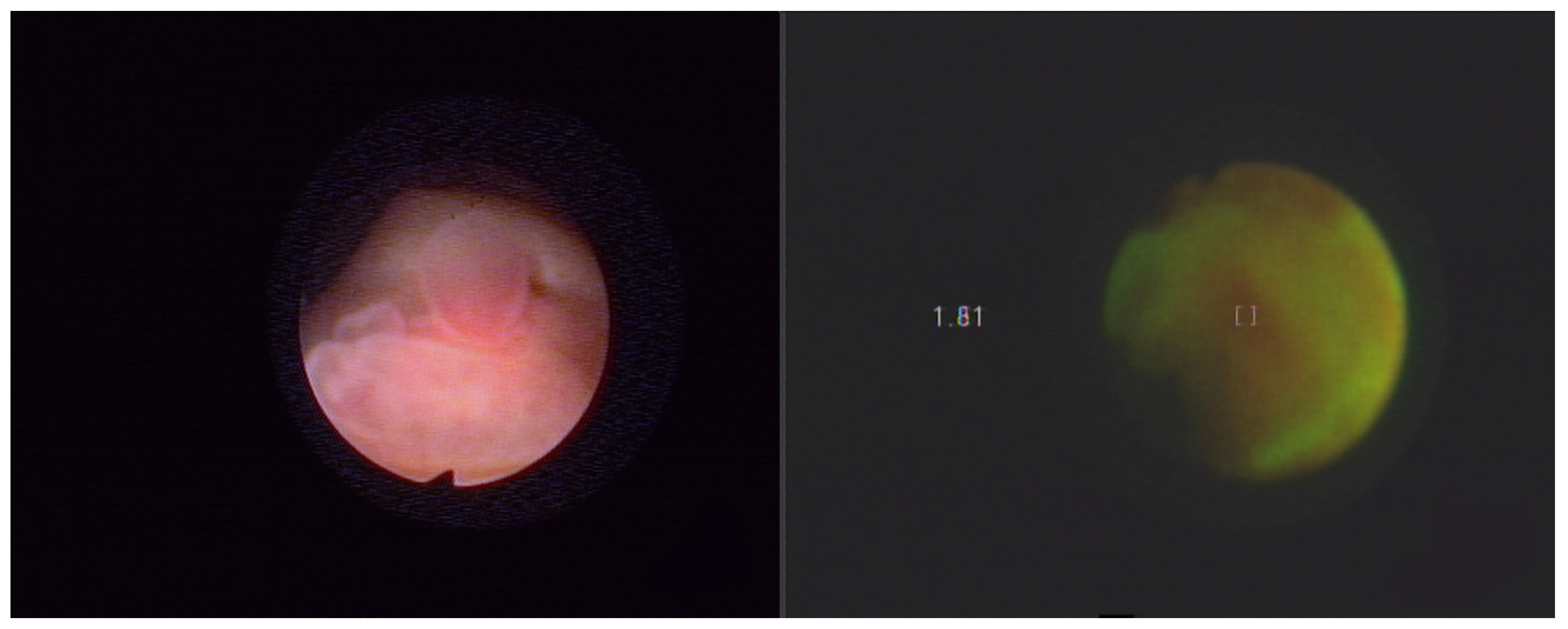 Molecules 27 00731 g004 Molecules 27 00731 g004