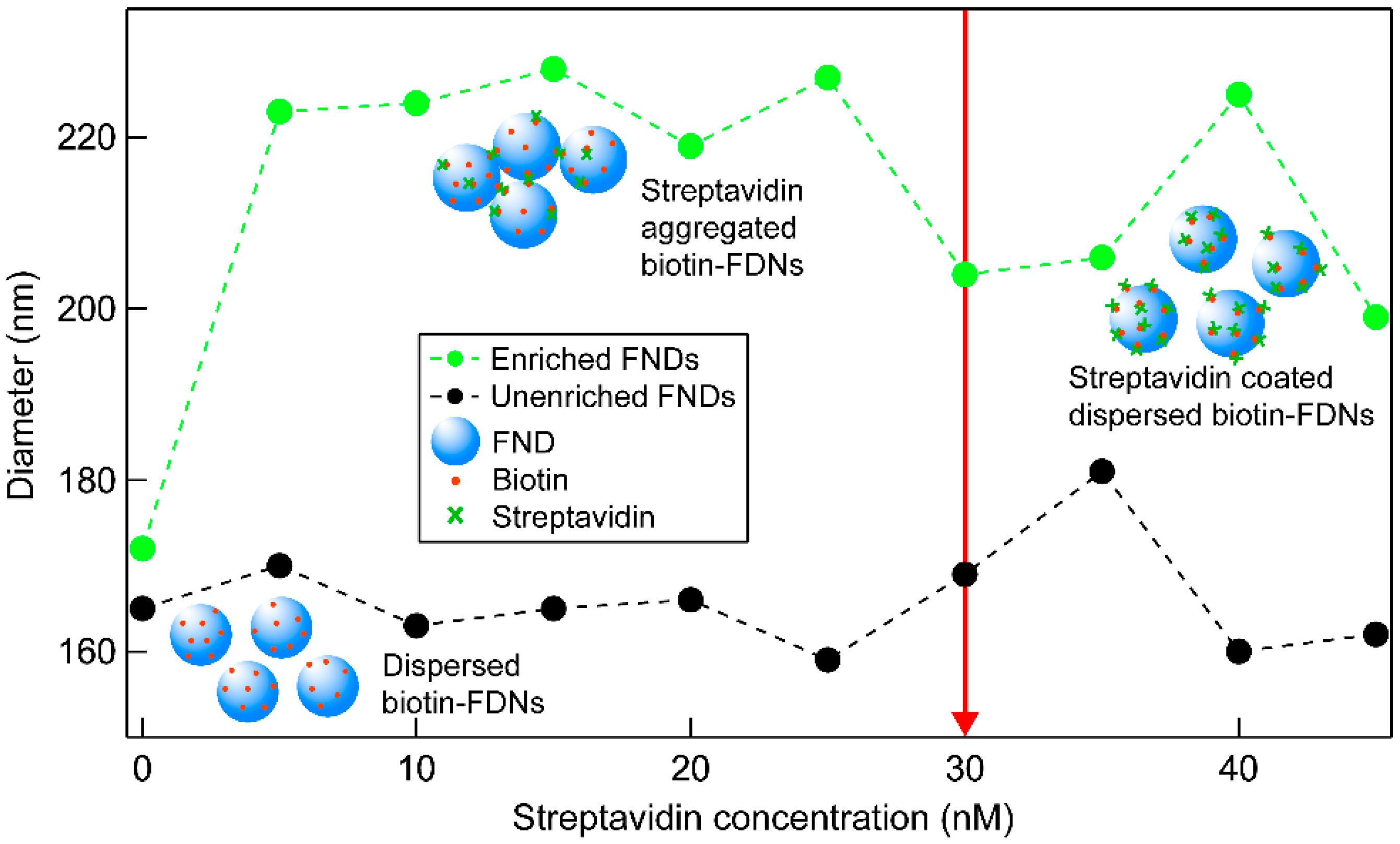 Molecules 27 00736 g004
