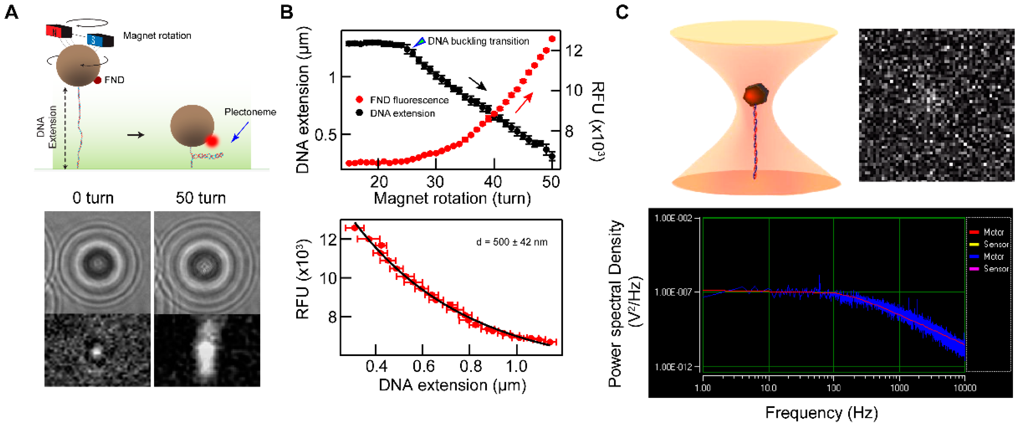 Molecules 27 00736 g005