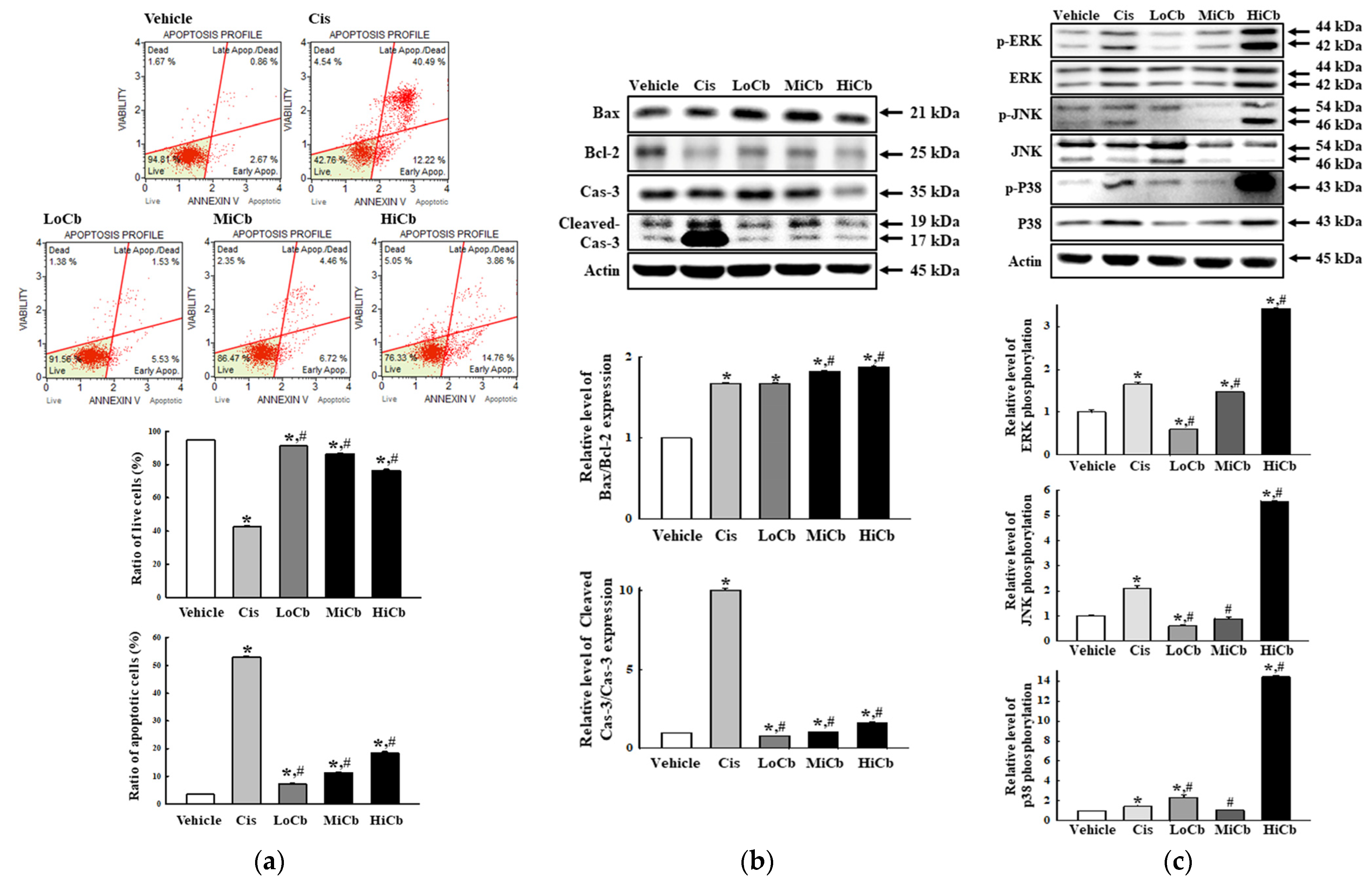 Molecules 27 00737 g002 550