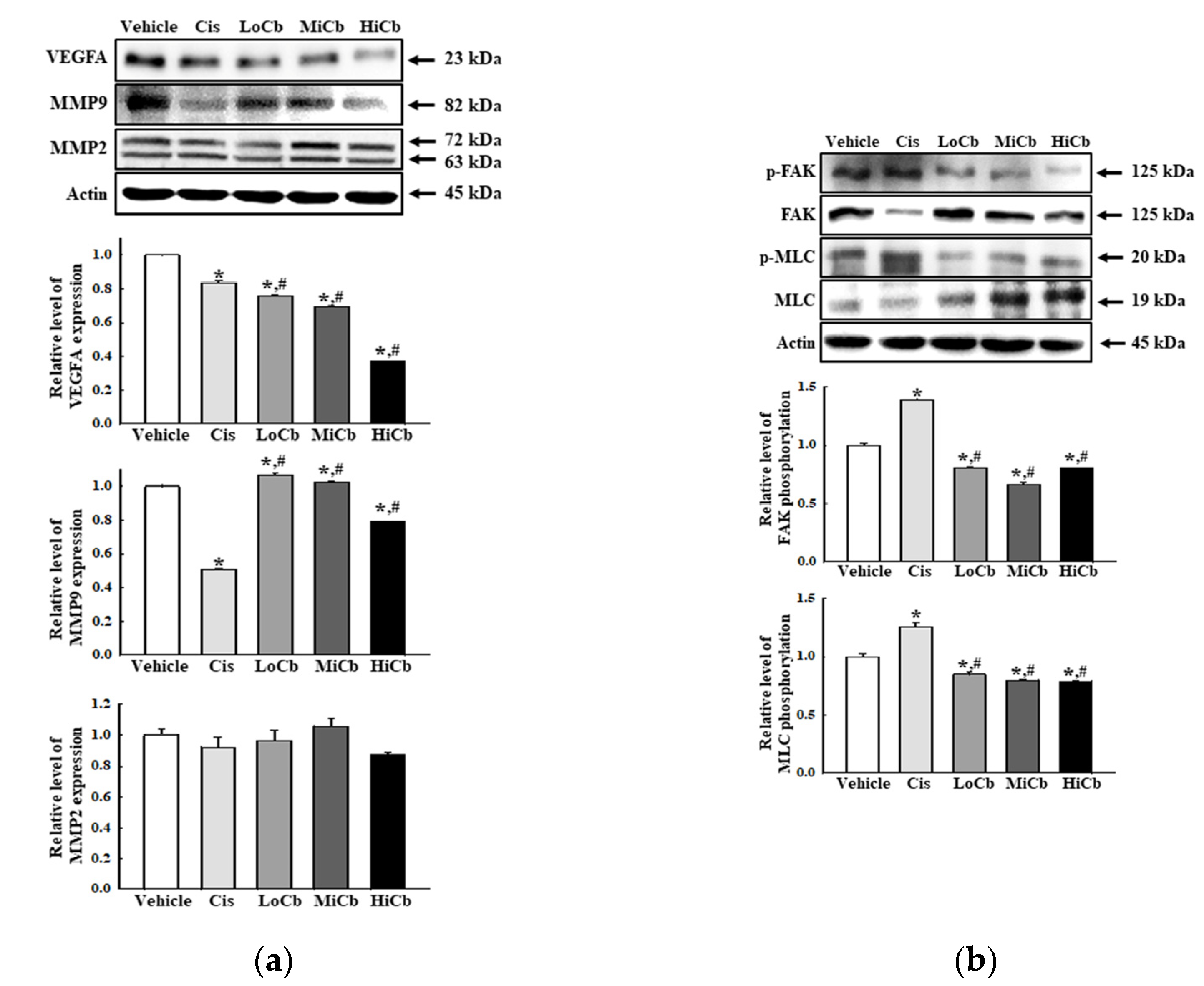 Molecules 27 00737 g004 550