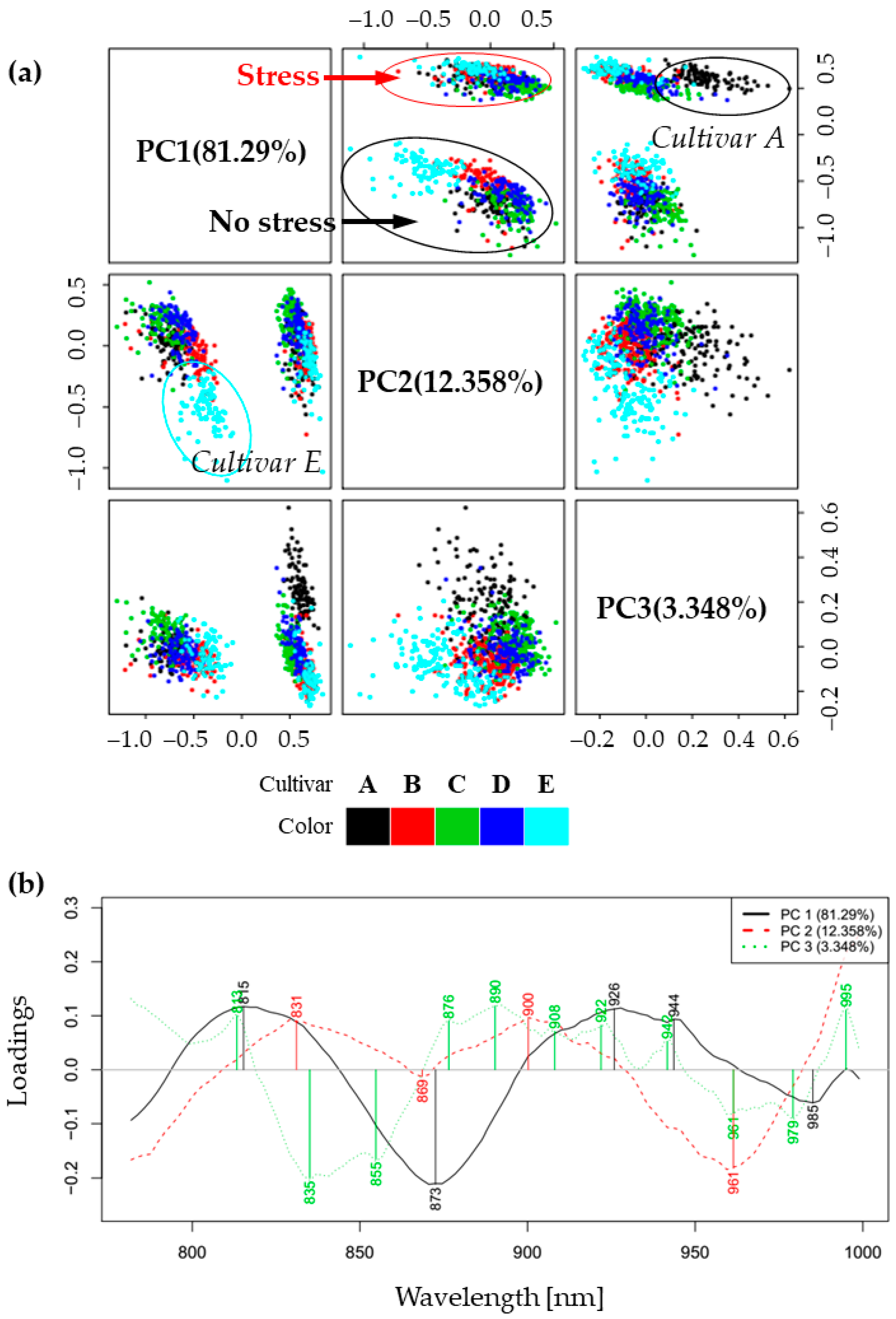 Molecules 27 00744 g002