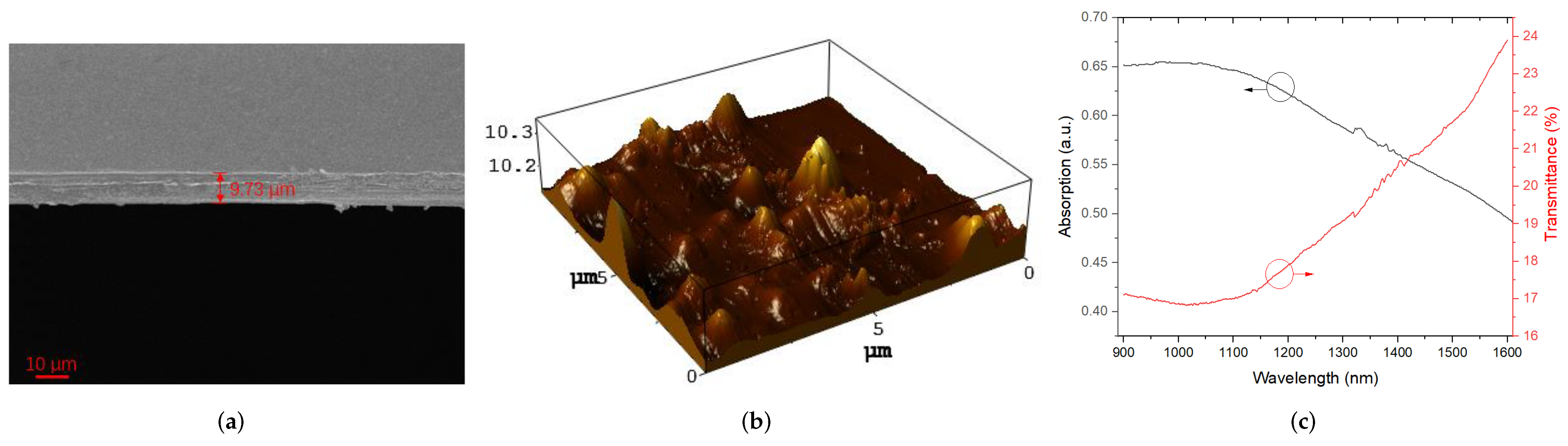 Molecules 27 00745 g003