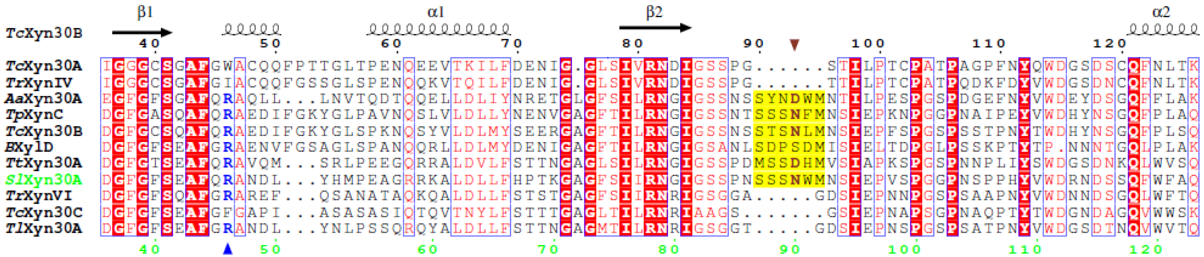 Molecules 27 00751 g001