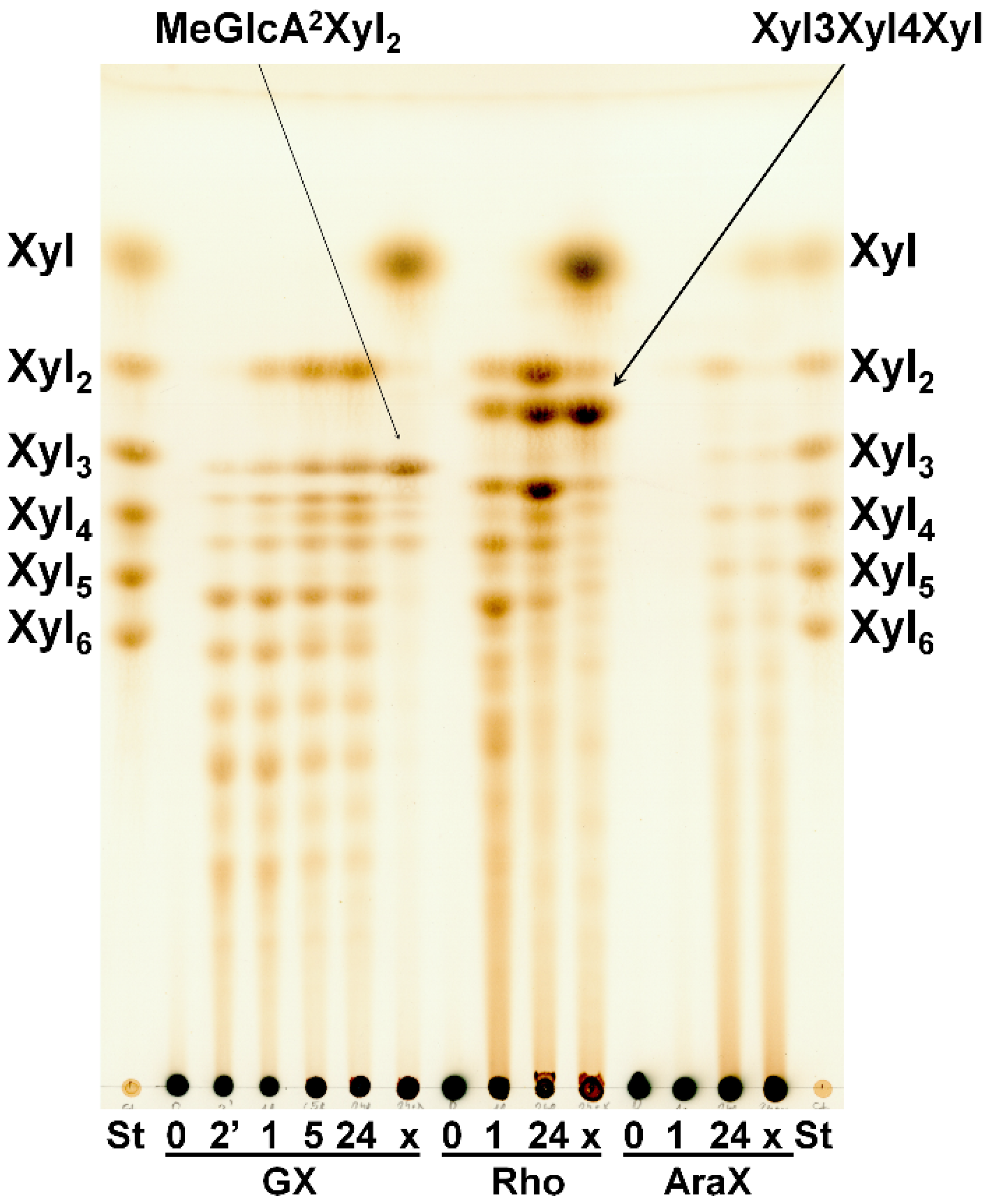Molecules 27 00751 g003