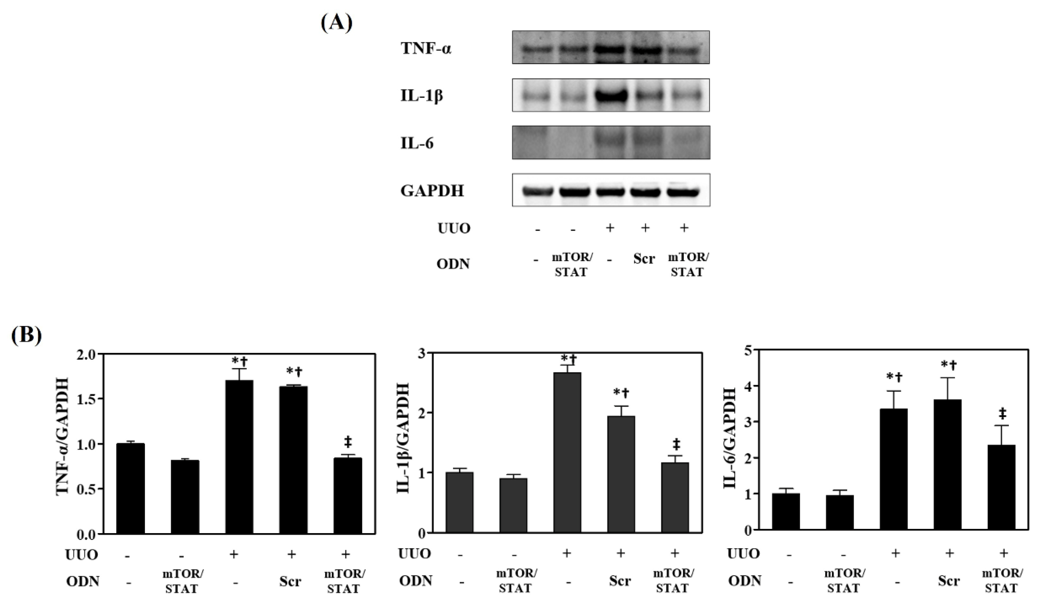 Molecules 27 00766 g004