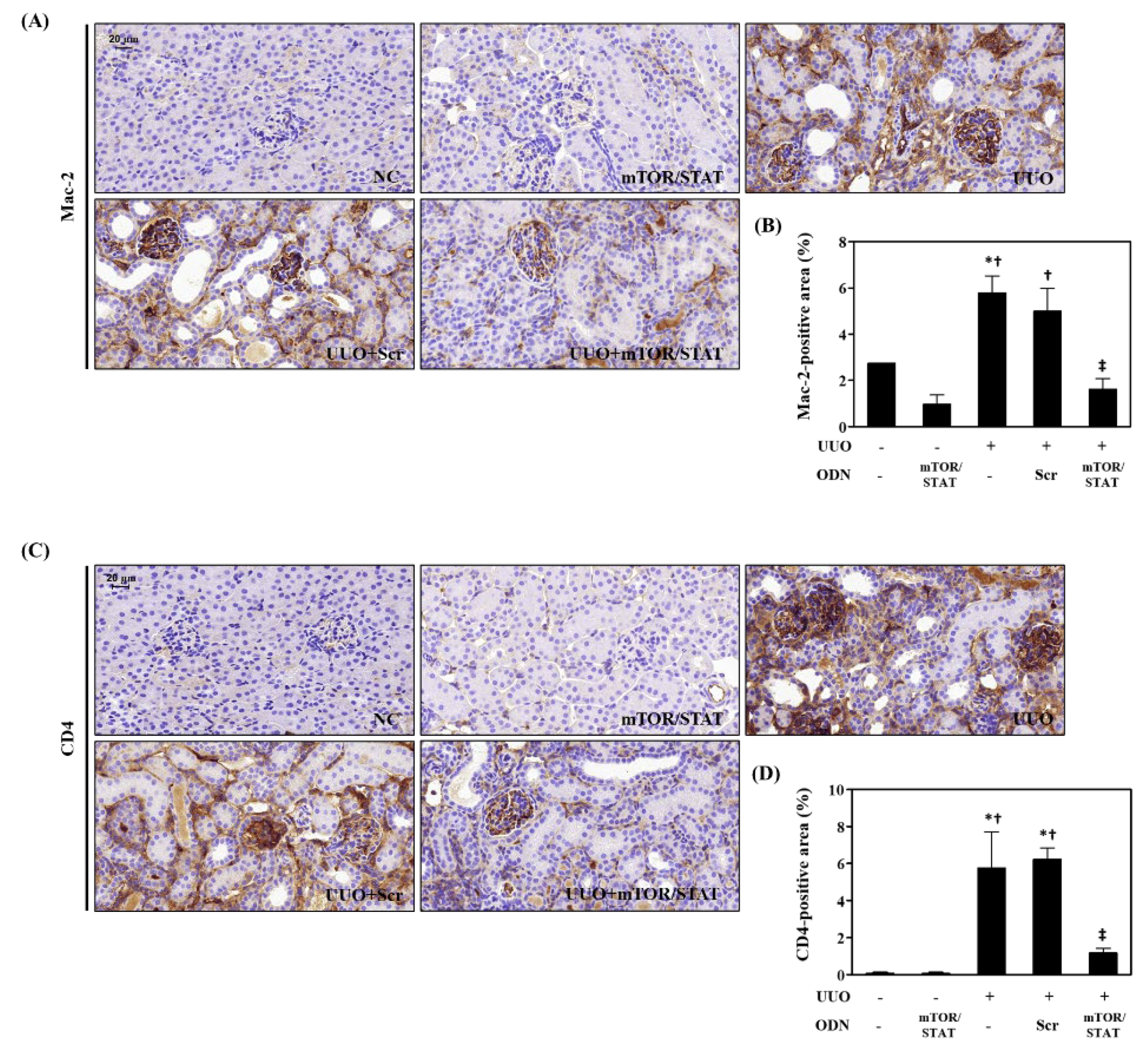 Molecules 27 00766 g005