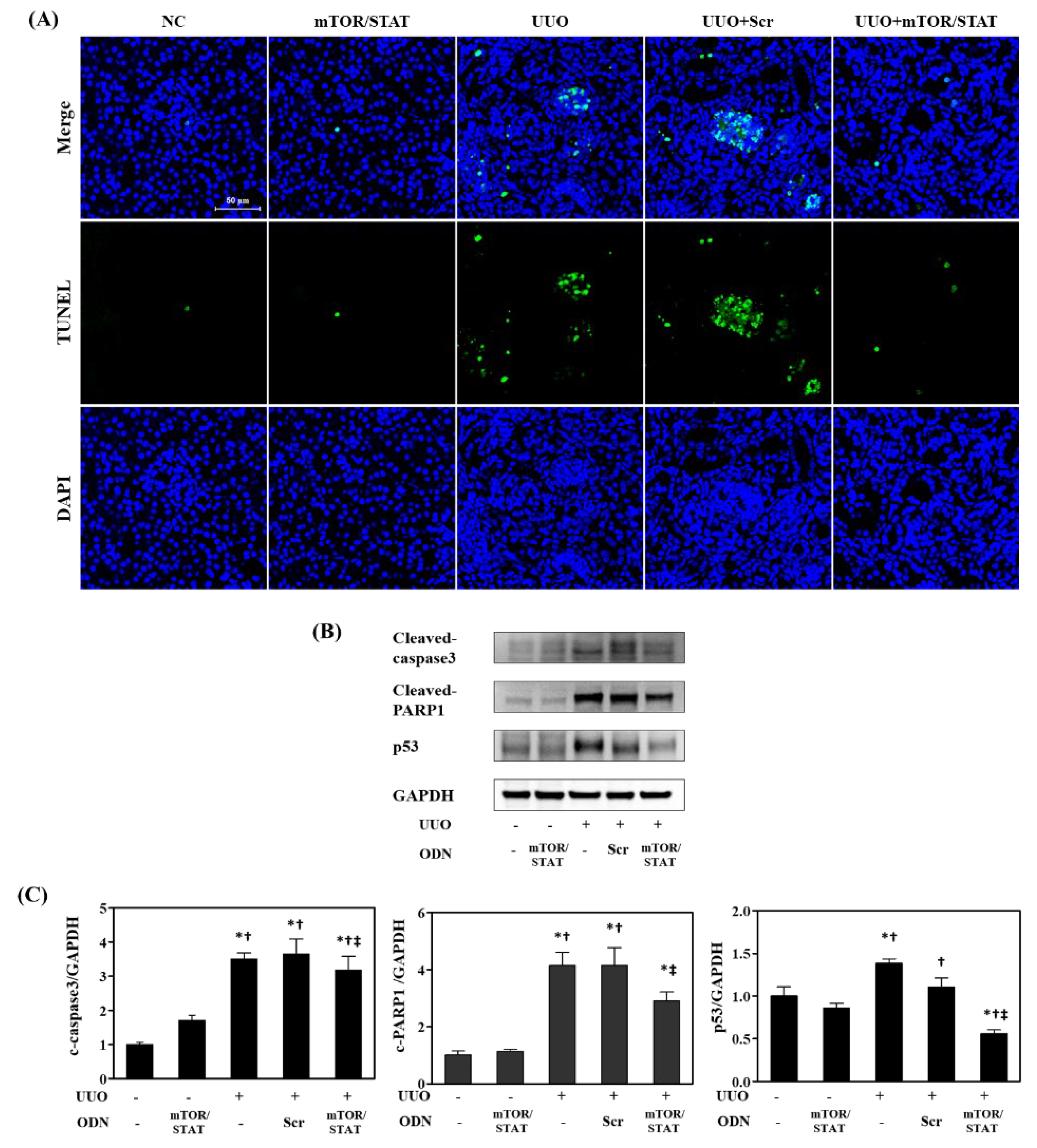 Molecules 27 00766 g007
