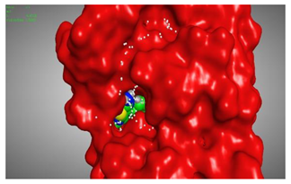 Molecules 27 00767 i006