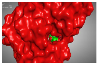 Molecules 27 00767 i015