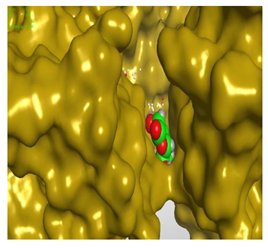 Molecules 27 00767 i030