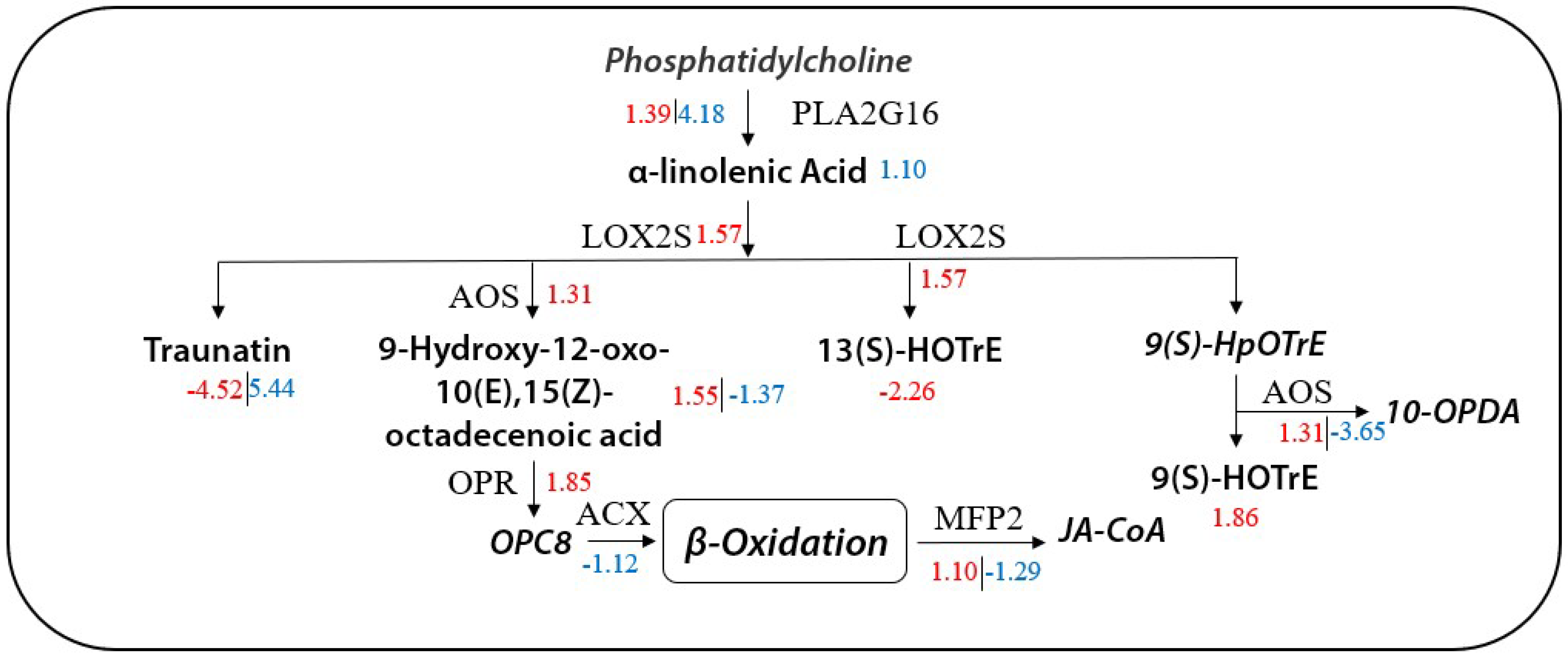 Molecules 27 00771 g010 550