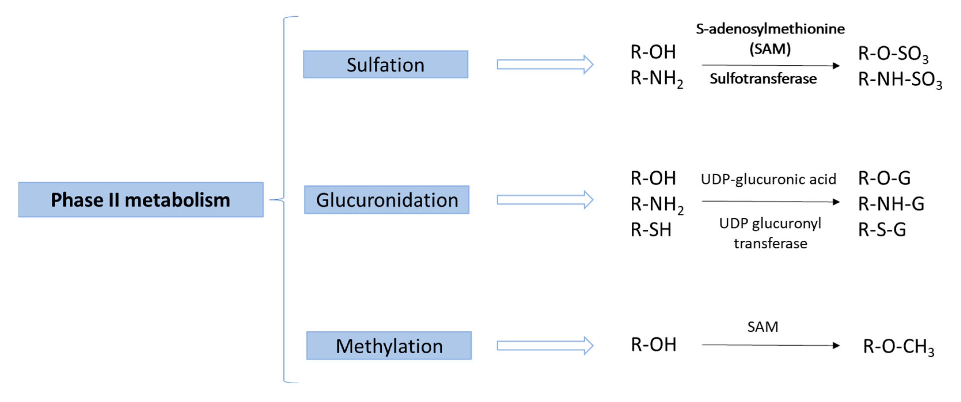 Molecules 27 00777 g003