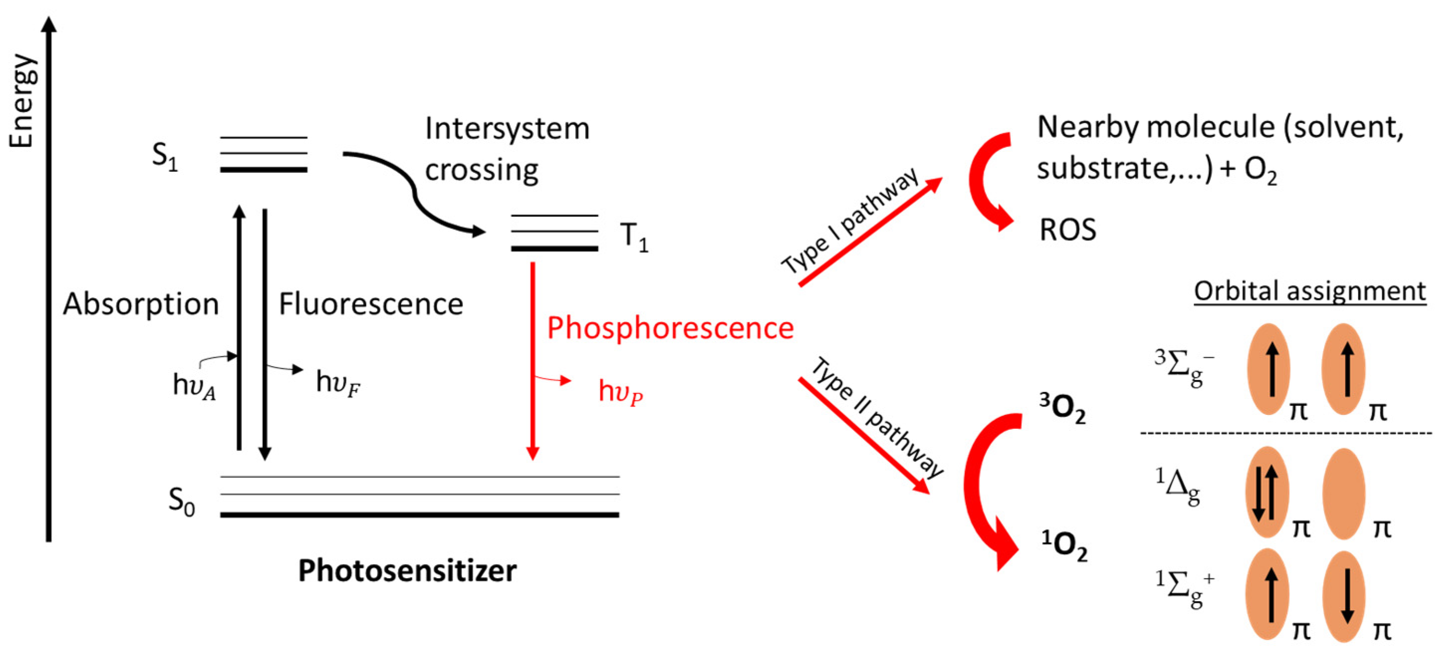 Molecules 27 00778 g001 Molecules 27 00778 g001