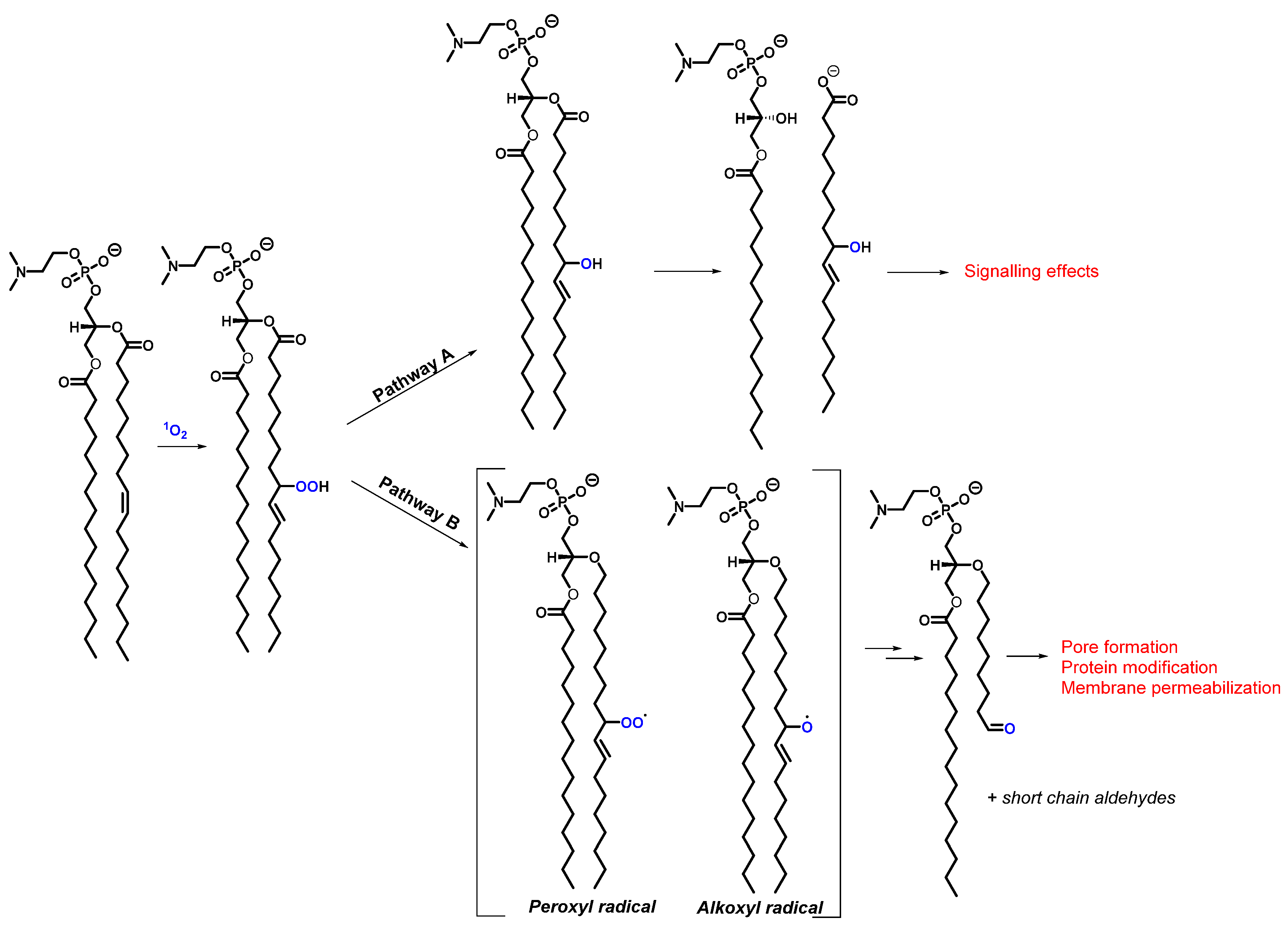 Molecules 27 00778 g007 Molecules 27 00778 g007
