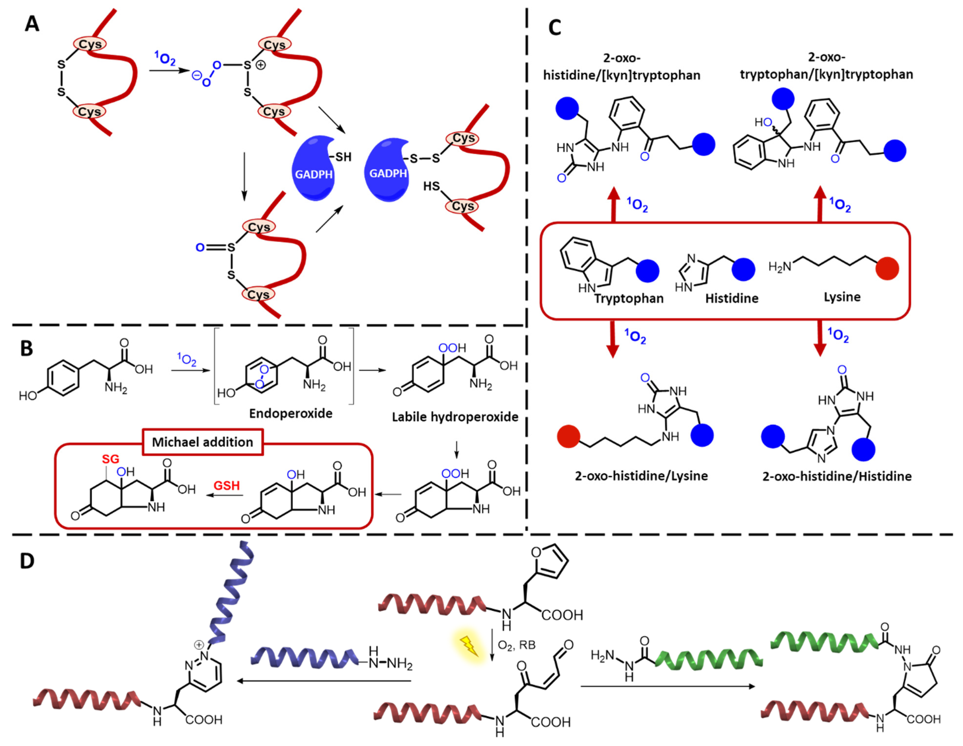 Molecules 27 00778 g009 Molecules 27 00778 g009