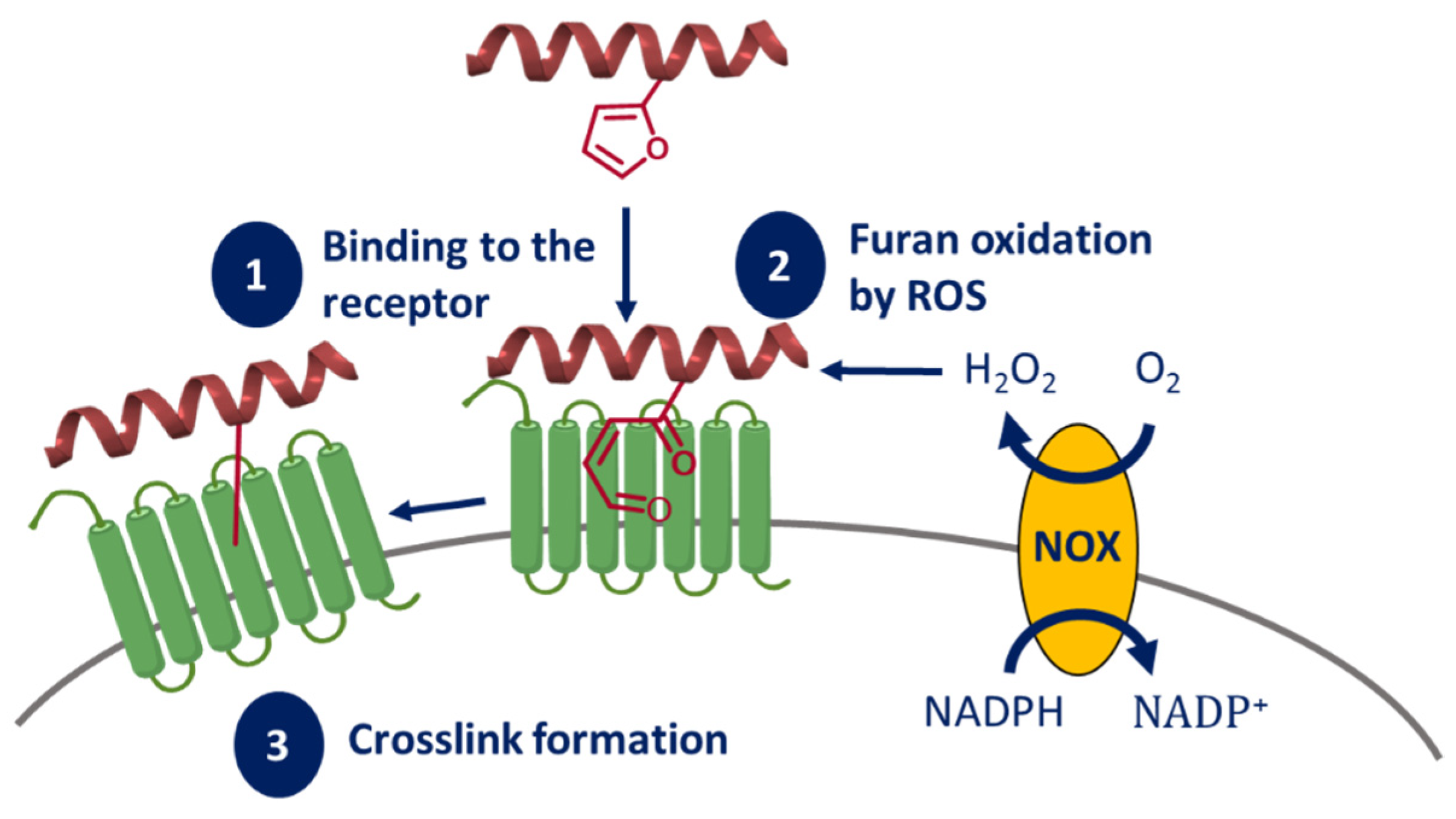 Molecules 27 00778 g010 Molecules 27 00778 g010