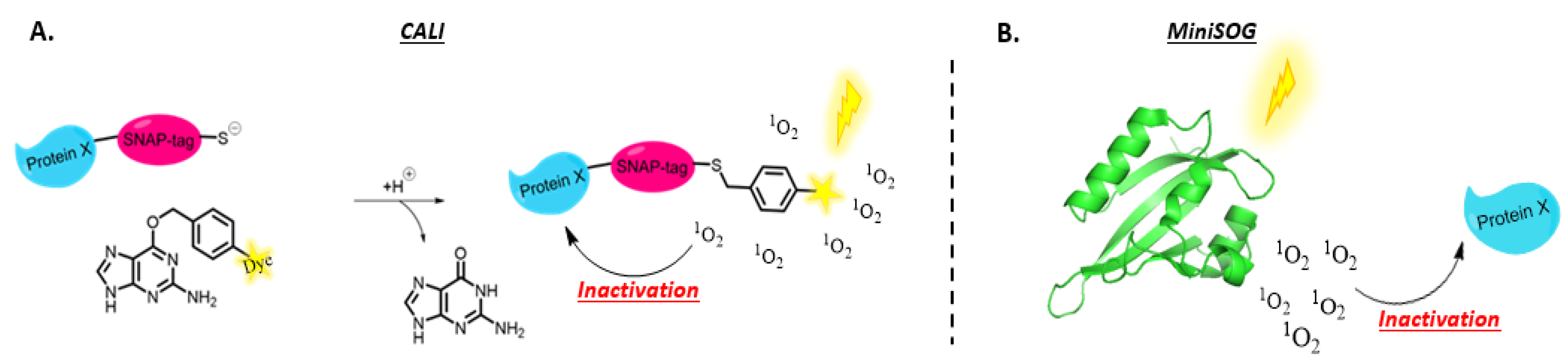 Molecules 27 00778 g011 Molecules 27 00778 g011