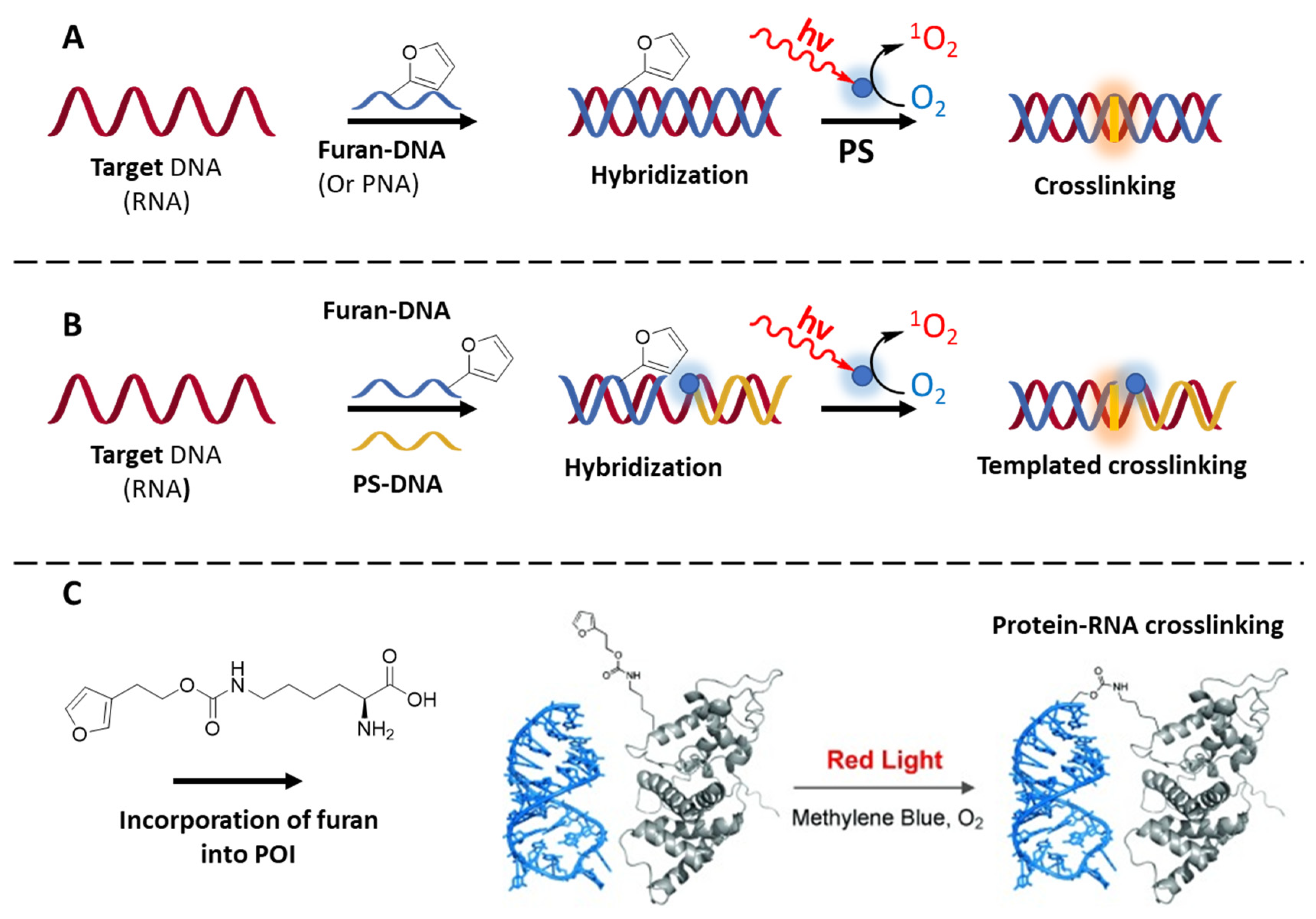 Molecules 27 00778 g012 Molecules 27 00778 g012