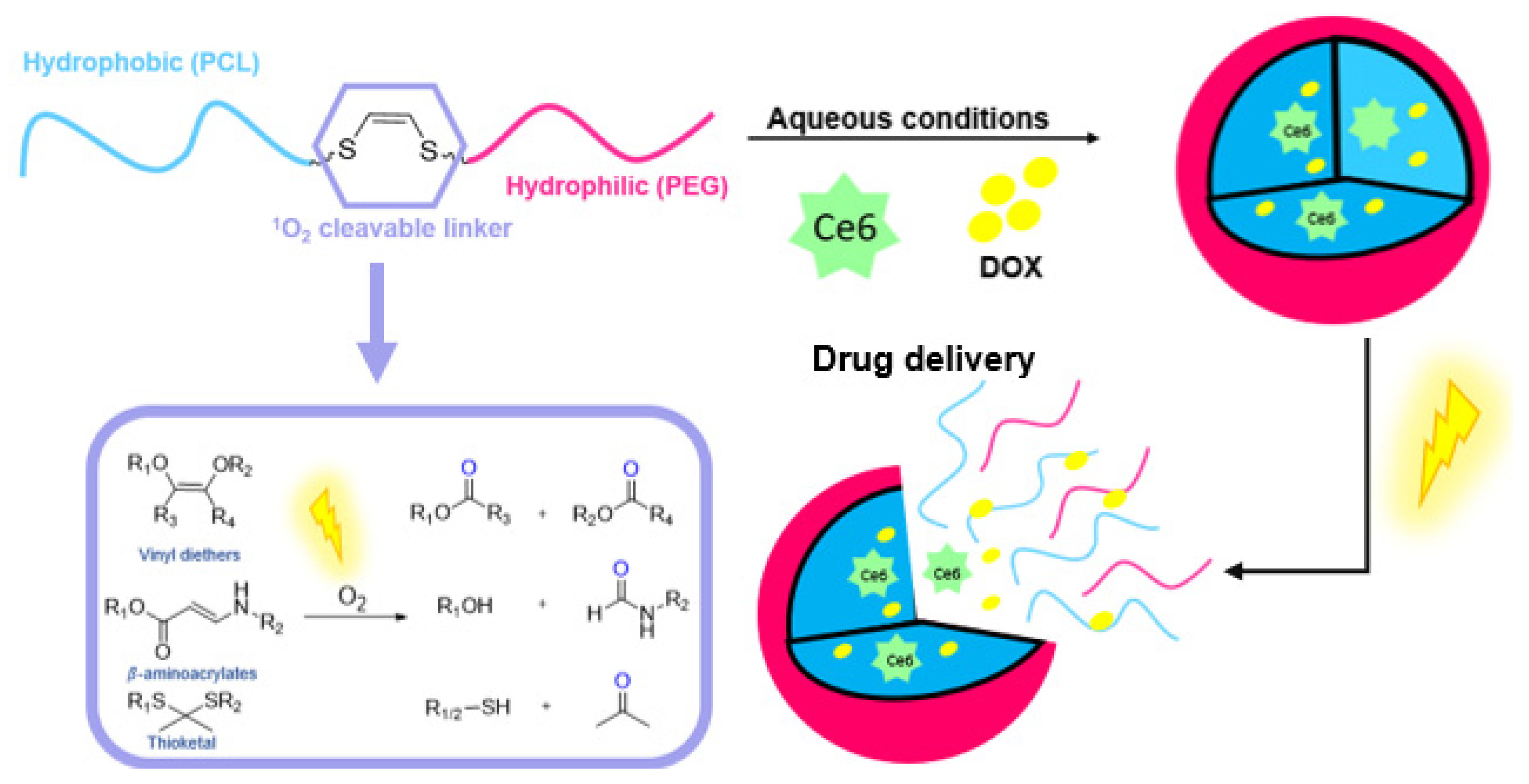 Molecules 27 00778 g013 Molecules 27 00778 g013