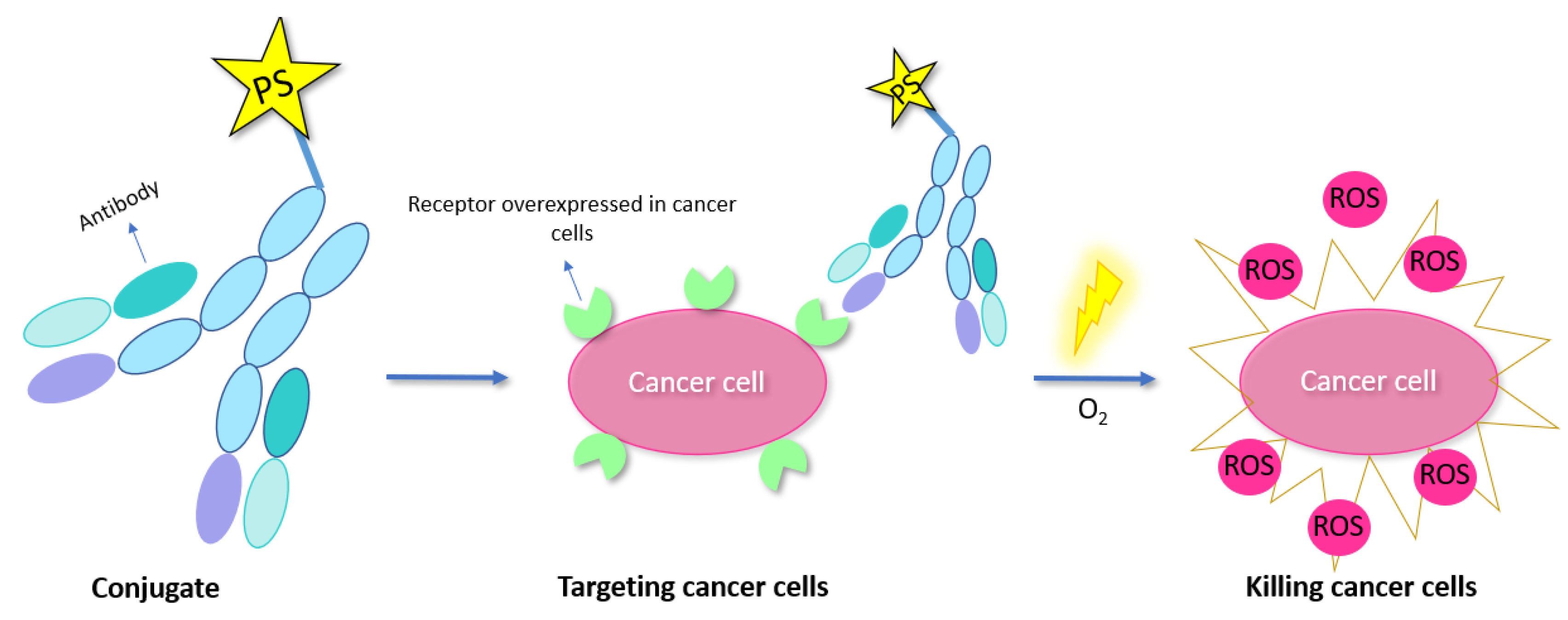 Molecules 27 00778 g018 Molecules 27 00778 g018