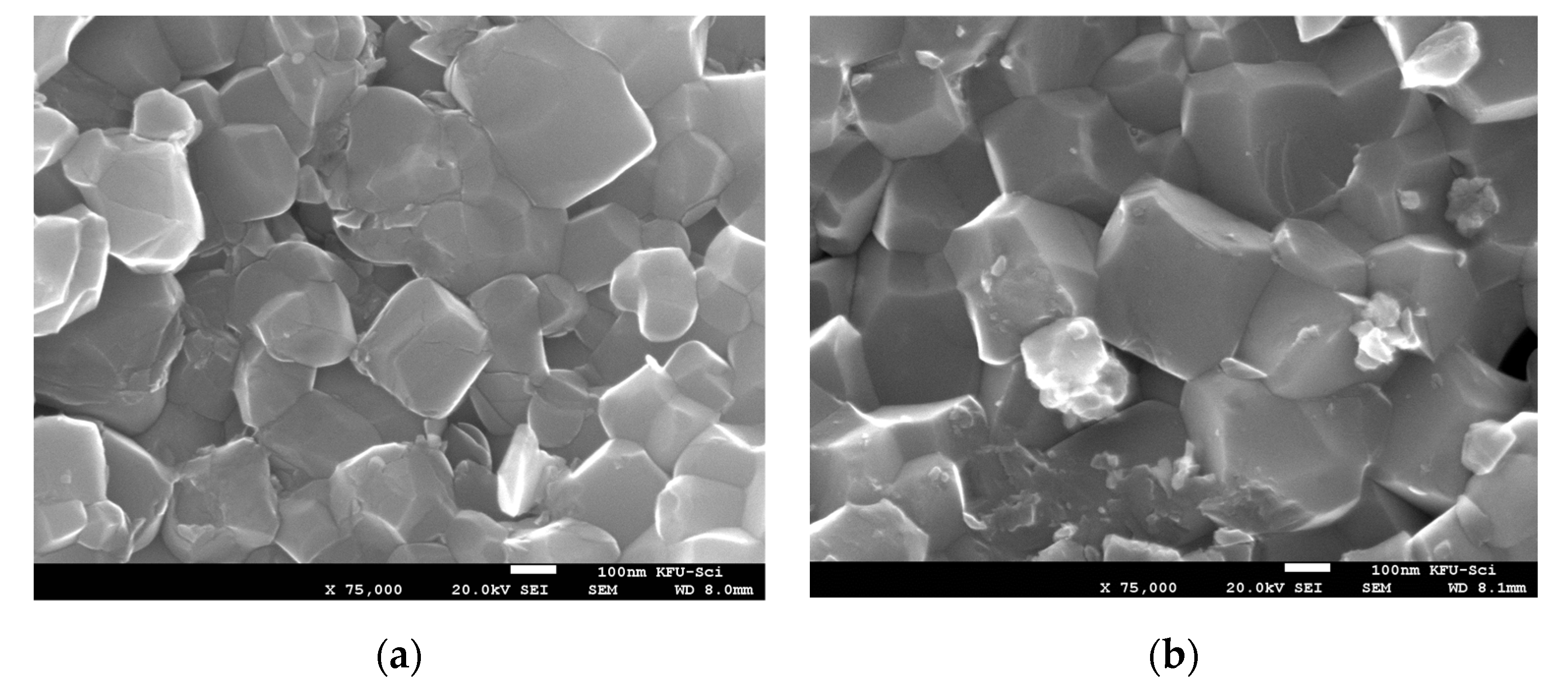 Molecules 27 00779 g002a 550