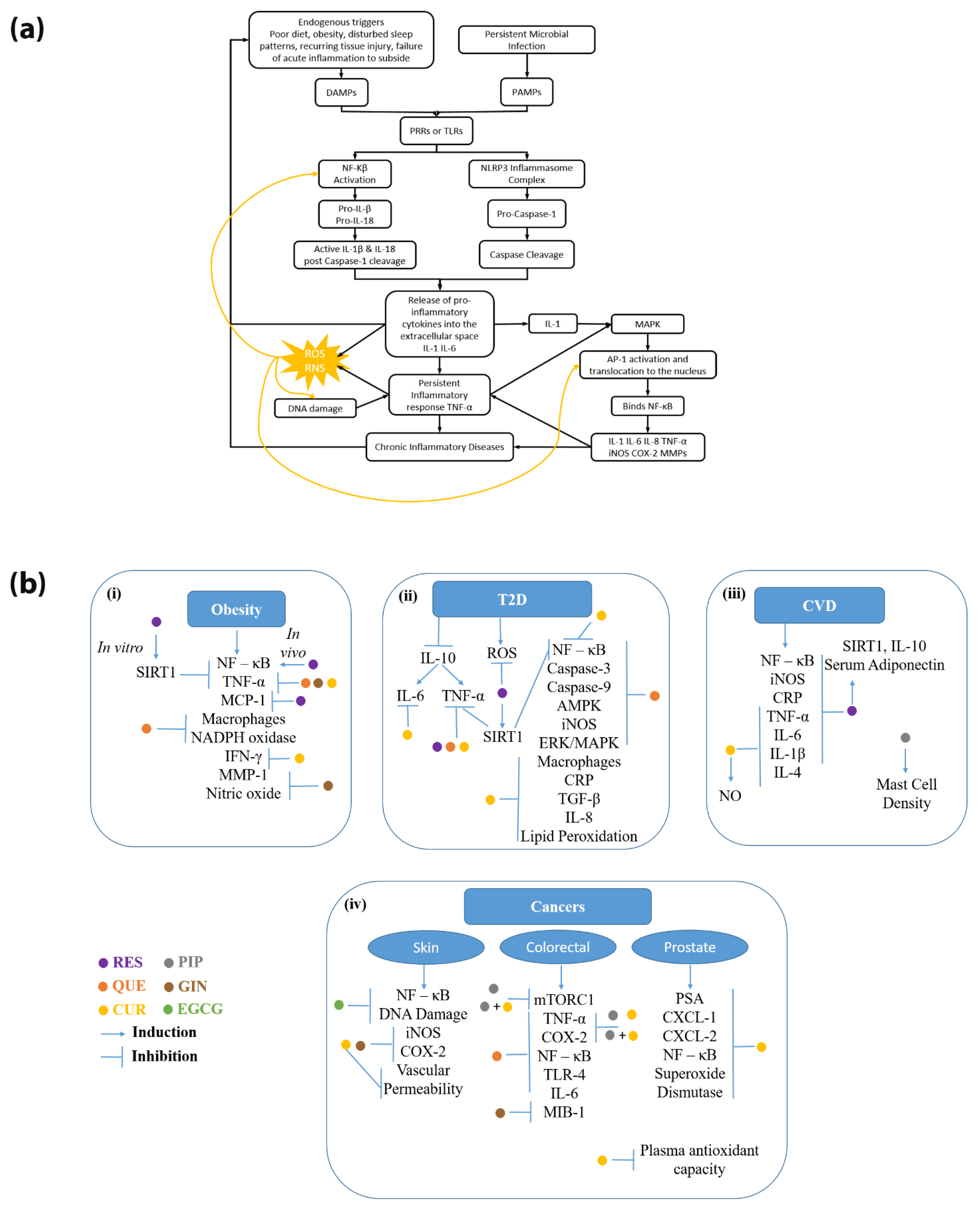 Molecules 27 00781 g001 550