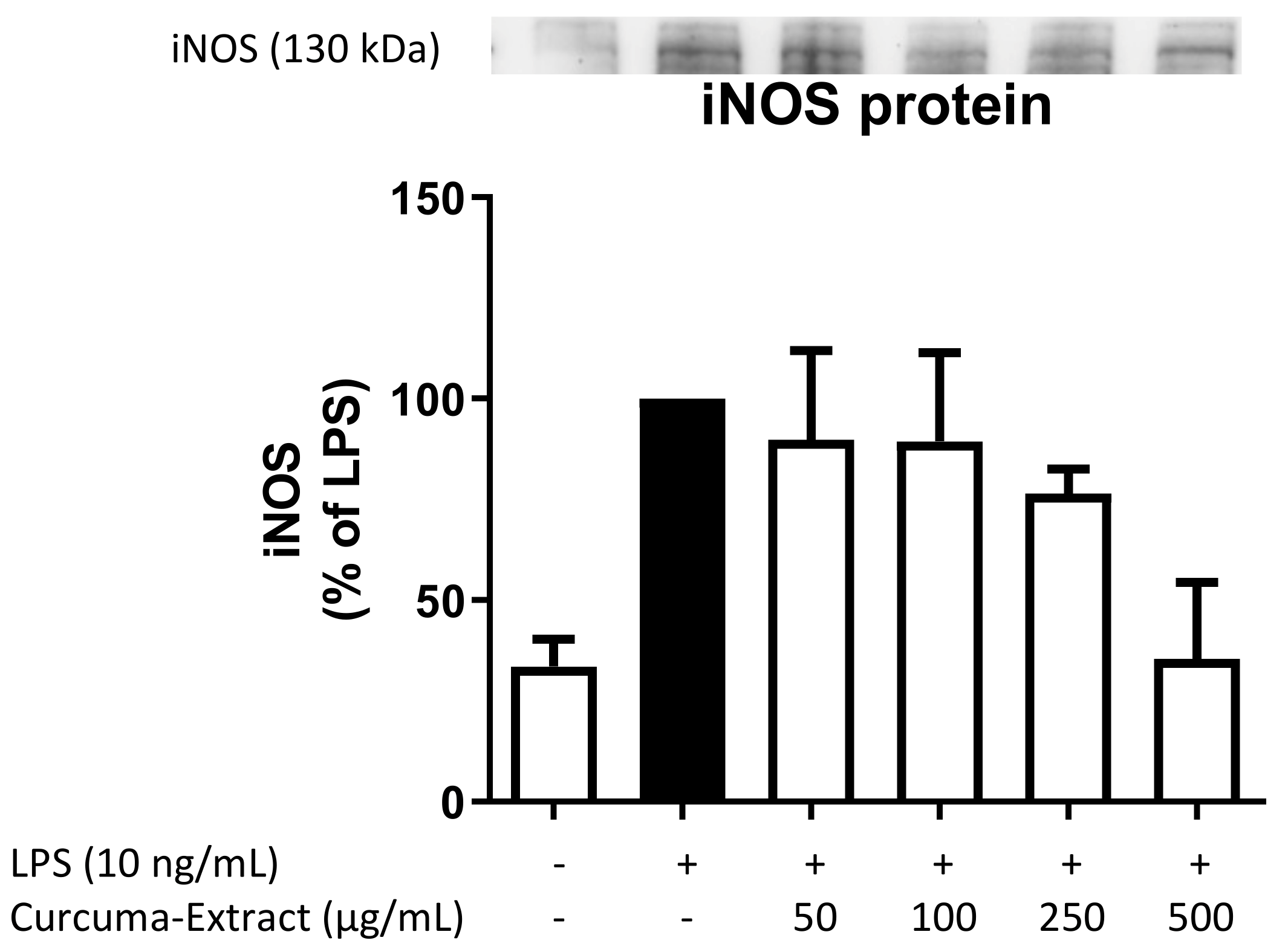 Molecules 27 00784 g003