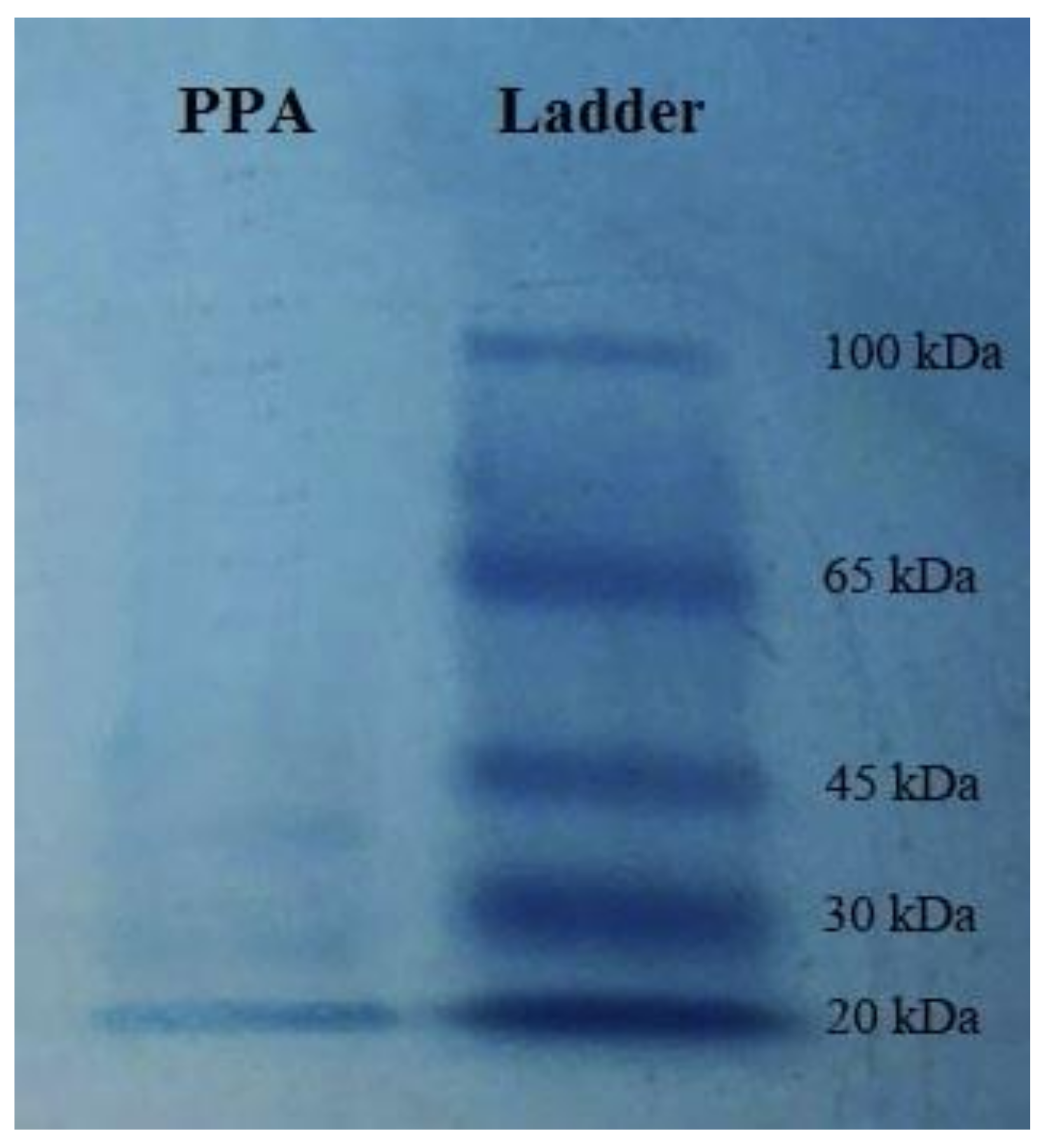 Molecules 27 00793 g001 Molecules 27 00793 g001