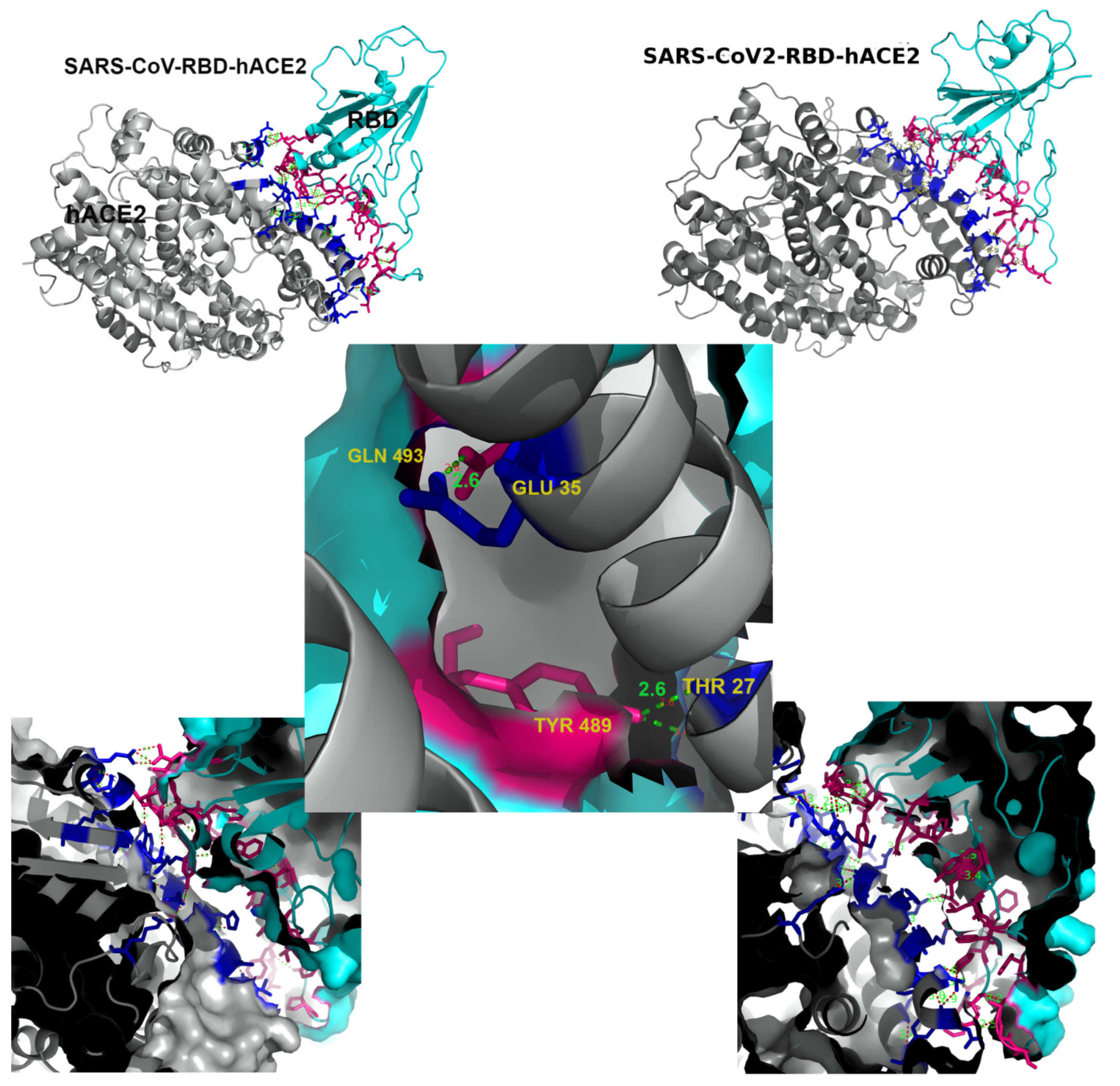 Molecules 27 00799 g001
