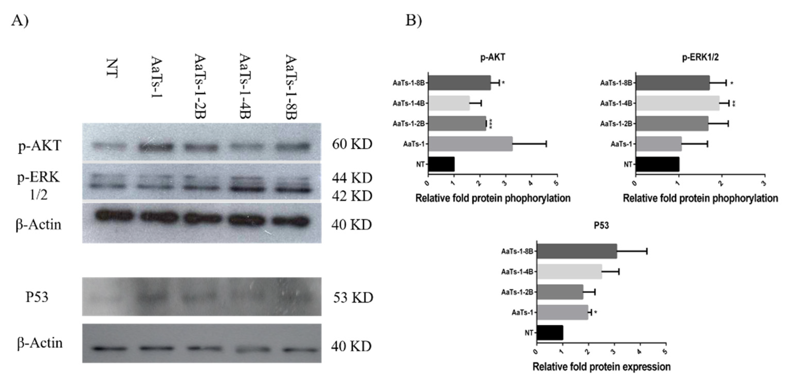 Molecules 27 00806 g004 550