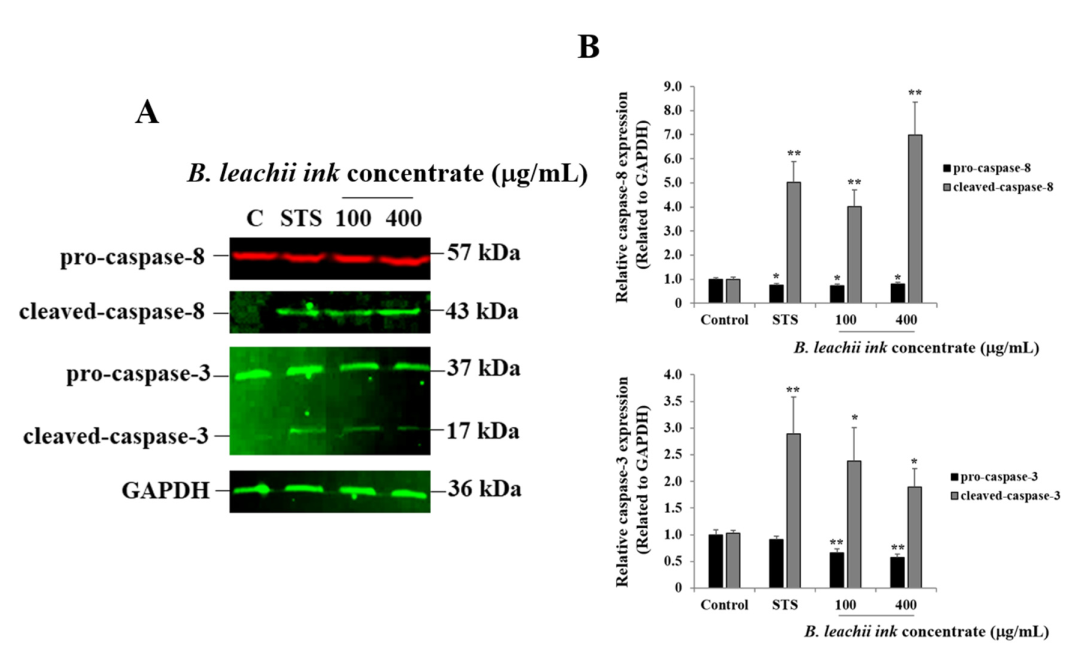 Molecules 27 00826 g003