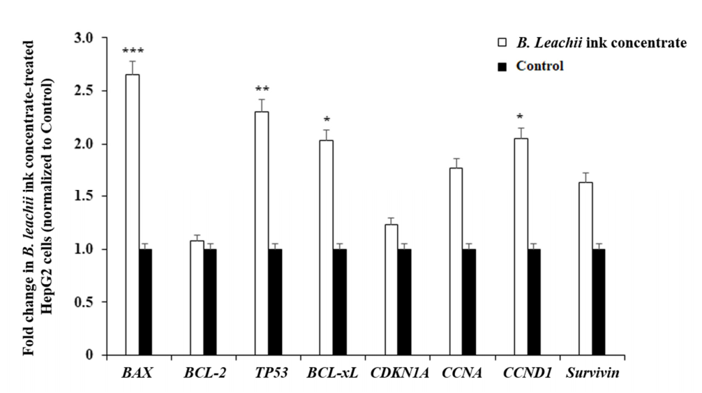 Molecules 27 00826 g004