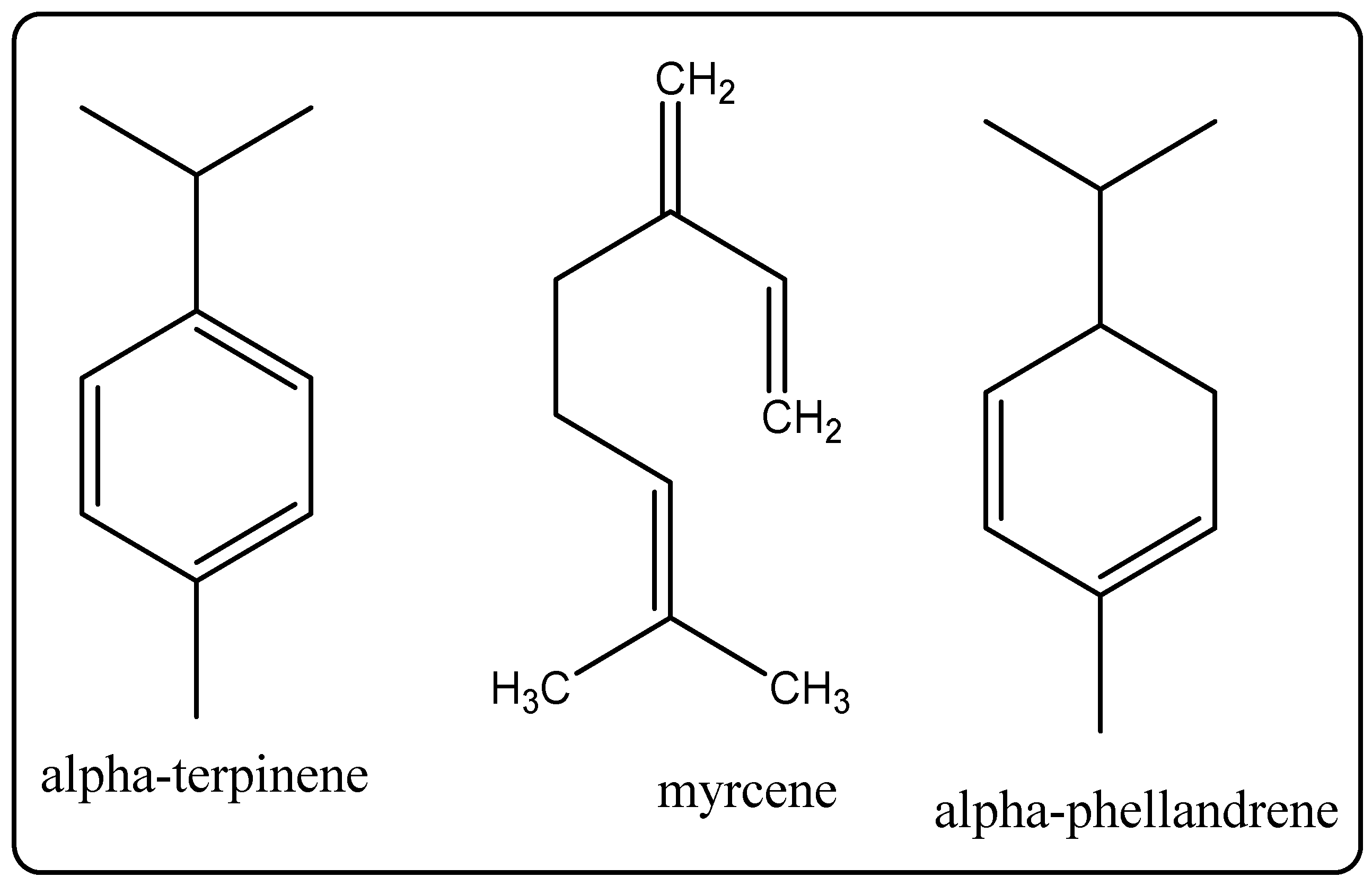 Molecules 27 00828 g013 Molecules 27 00828 g013