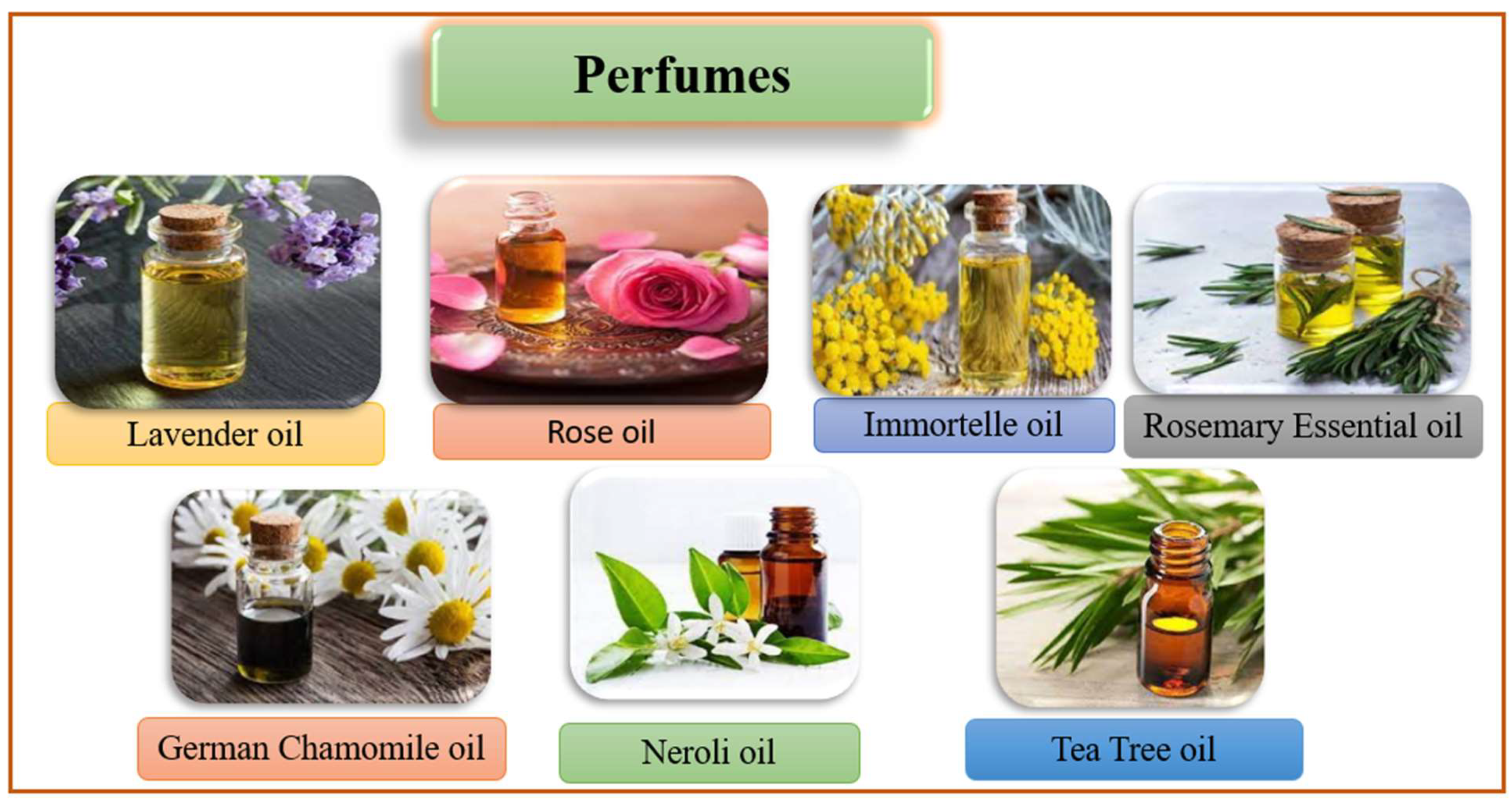 Molecules 27 00828 g014 Molecules 27 00828 g014