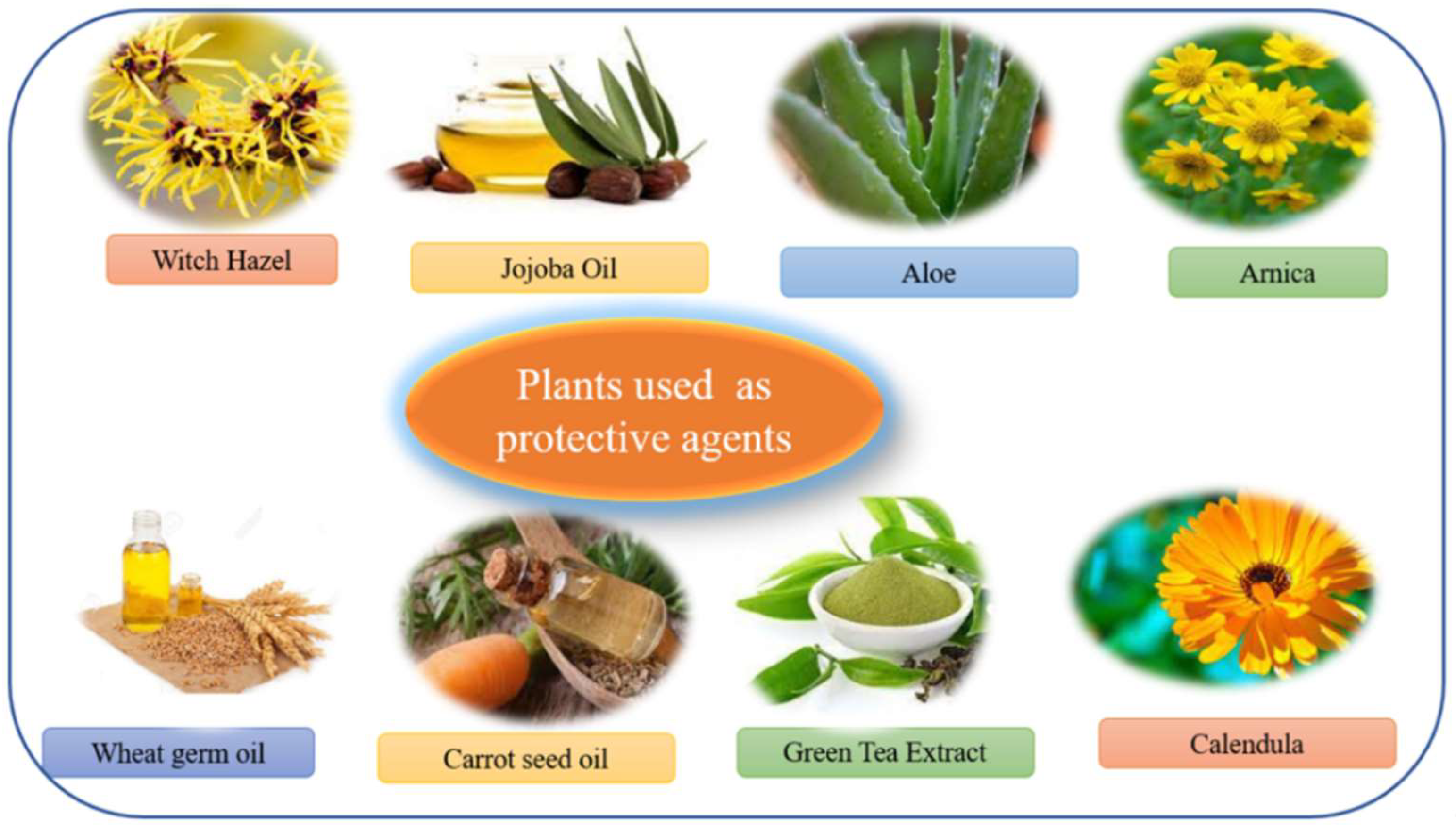 Molecules 27 00828 g015 Molecules 27 00828 g015