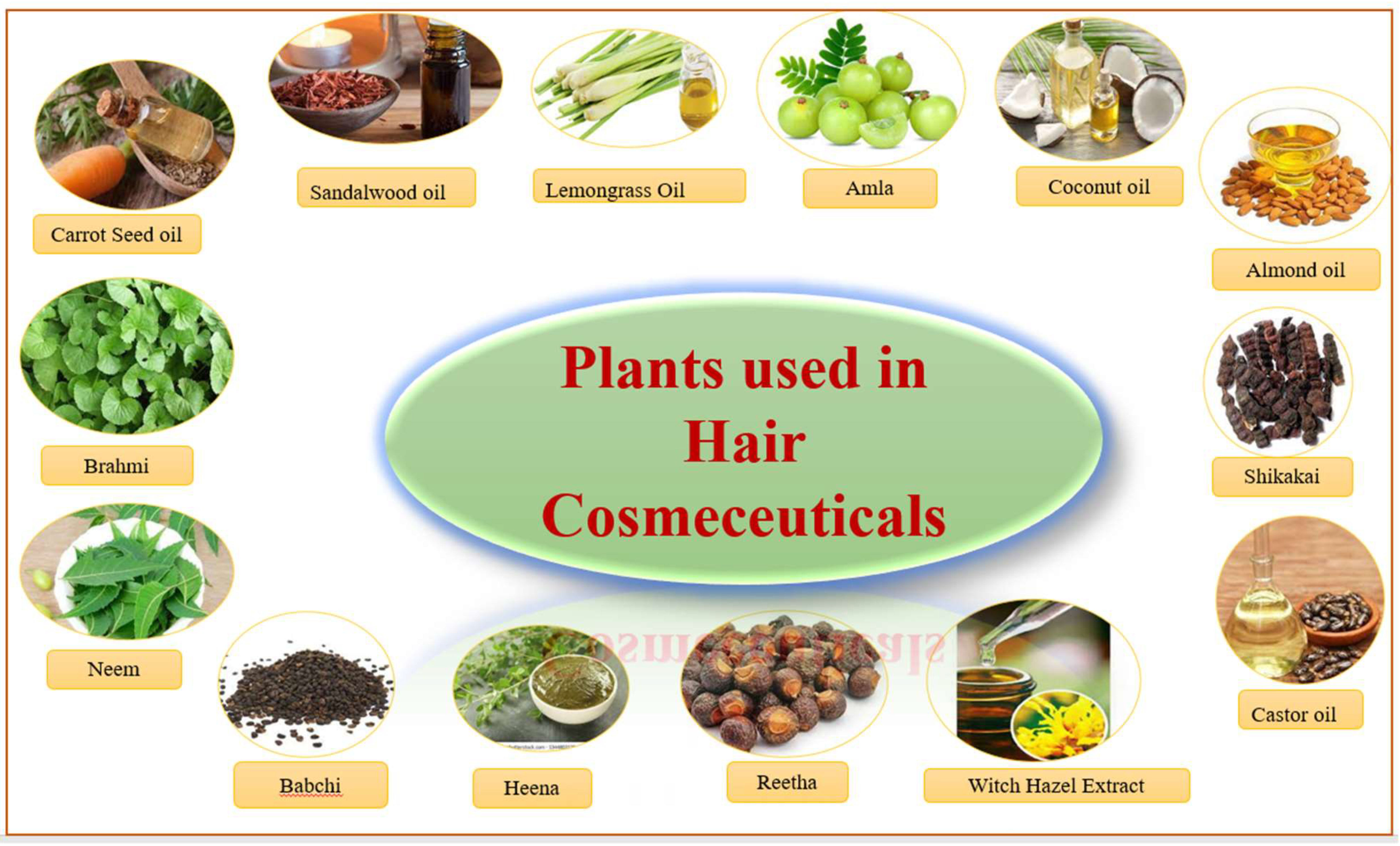 Molecules 27 00828 g016 Molecules 27 00828 g016