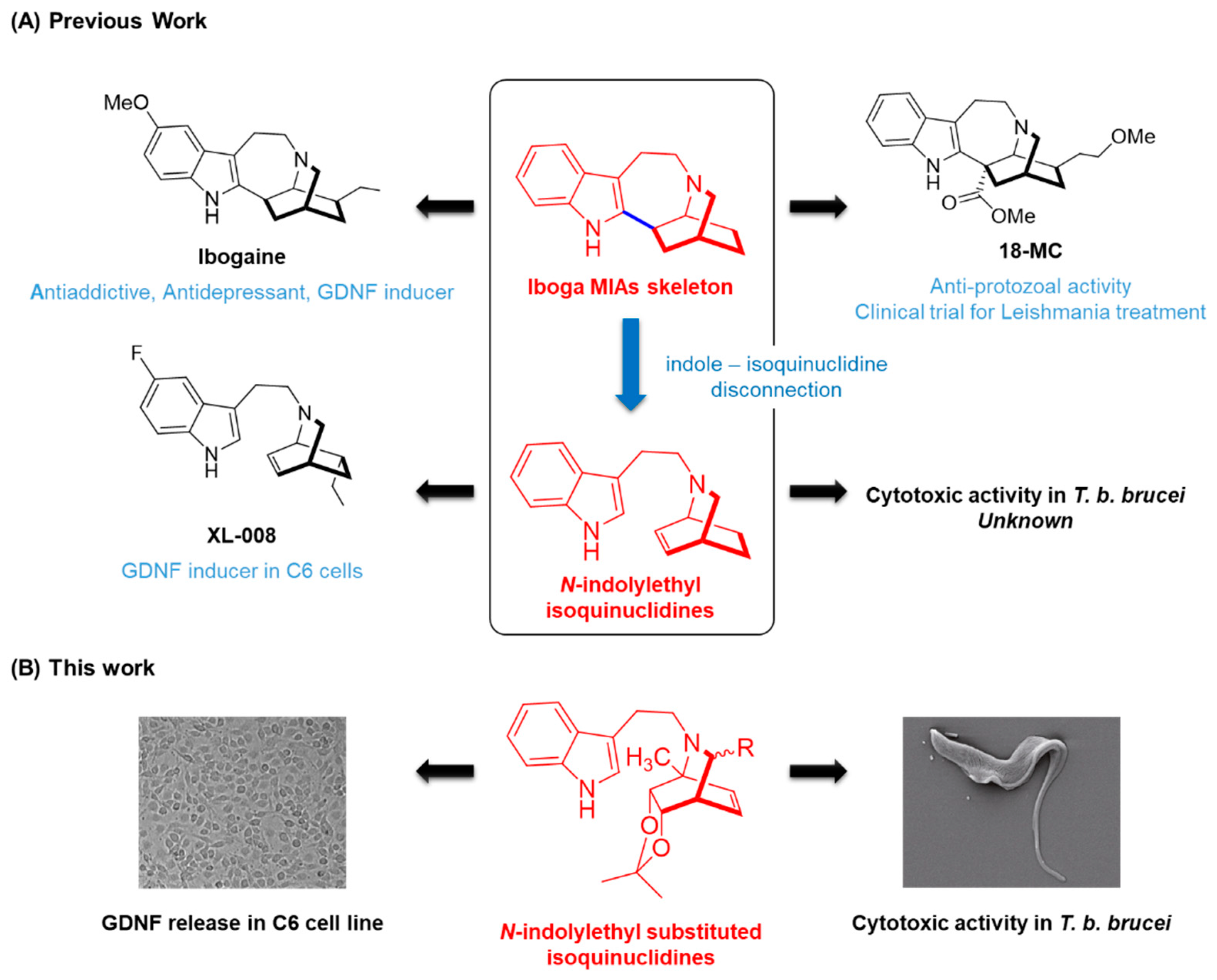 Molecules 27 00829 g001