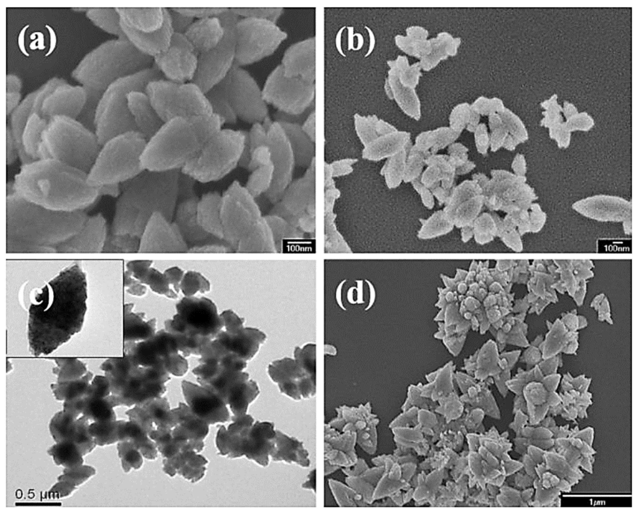 Molecules 27 00833 g003 550