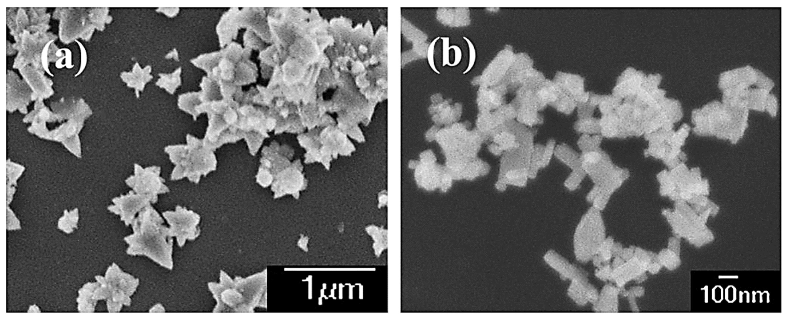 Molecules 27 00833 g005 550
