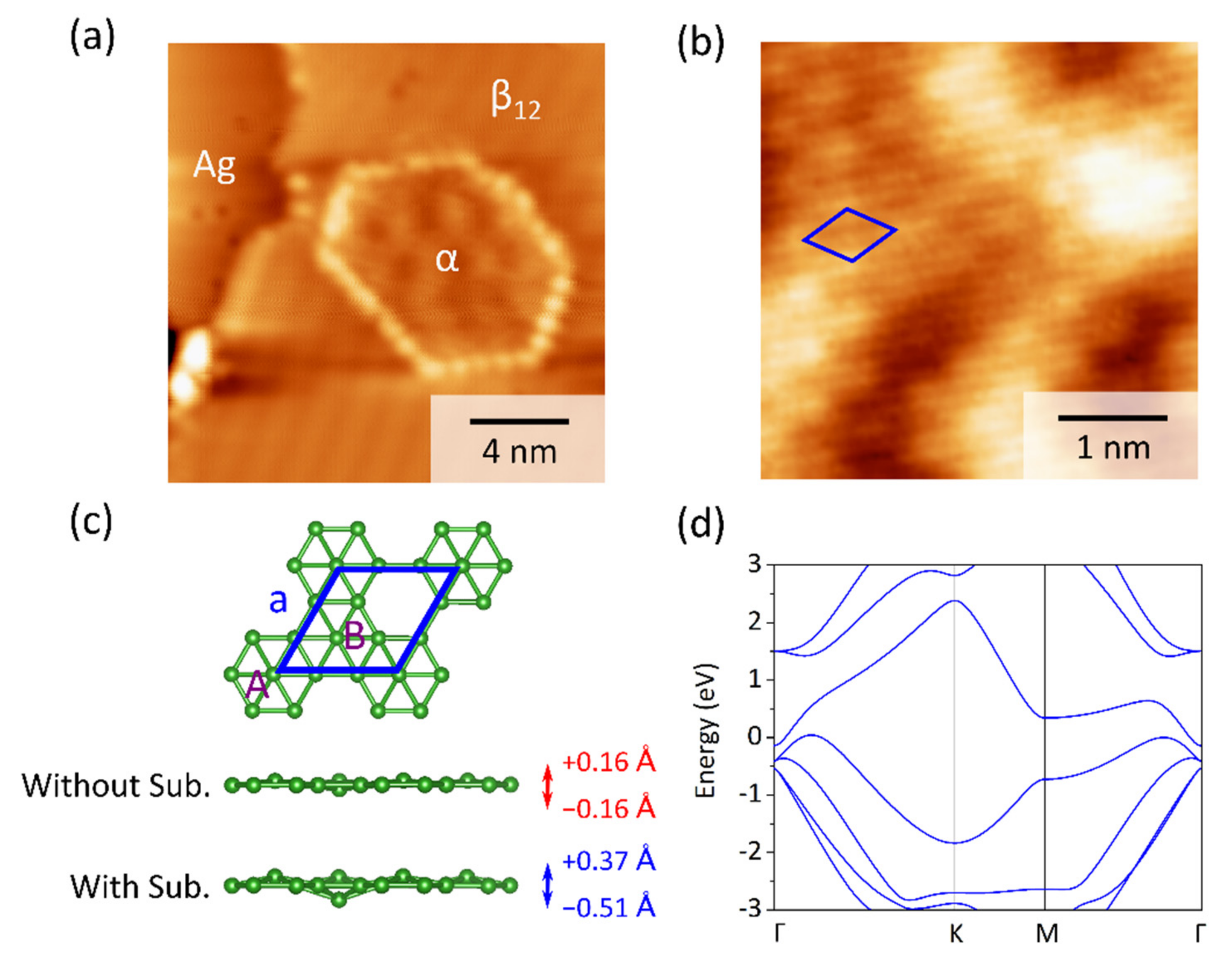 Molecules 27 00834 g001 550