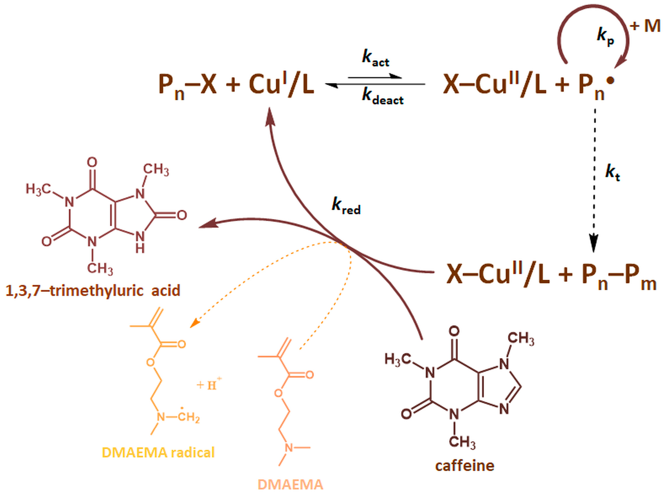 Molecules 27 00840 g001 Molecules 27 00840 g001