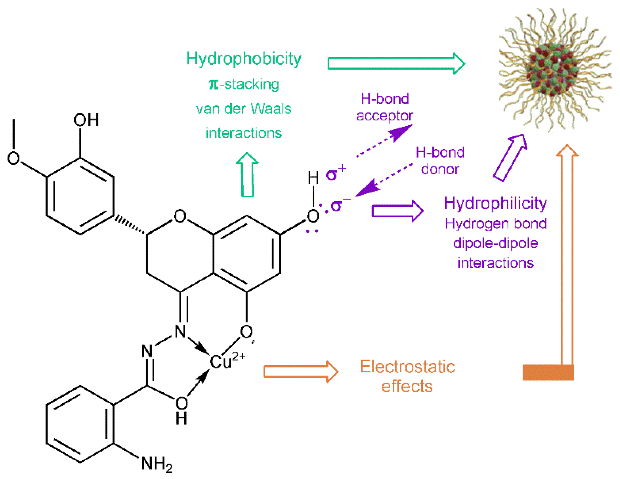 Molecules 27 00845 g007 550