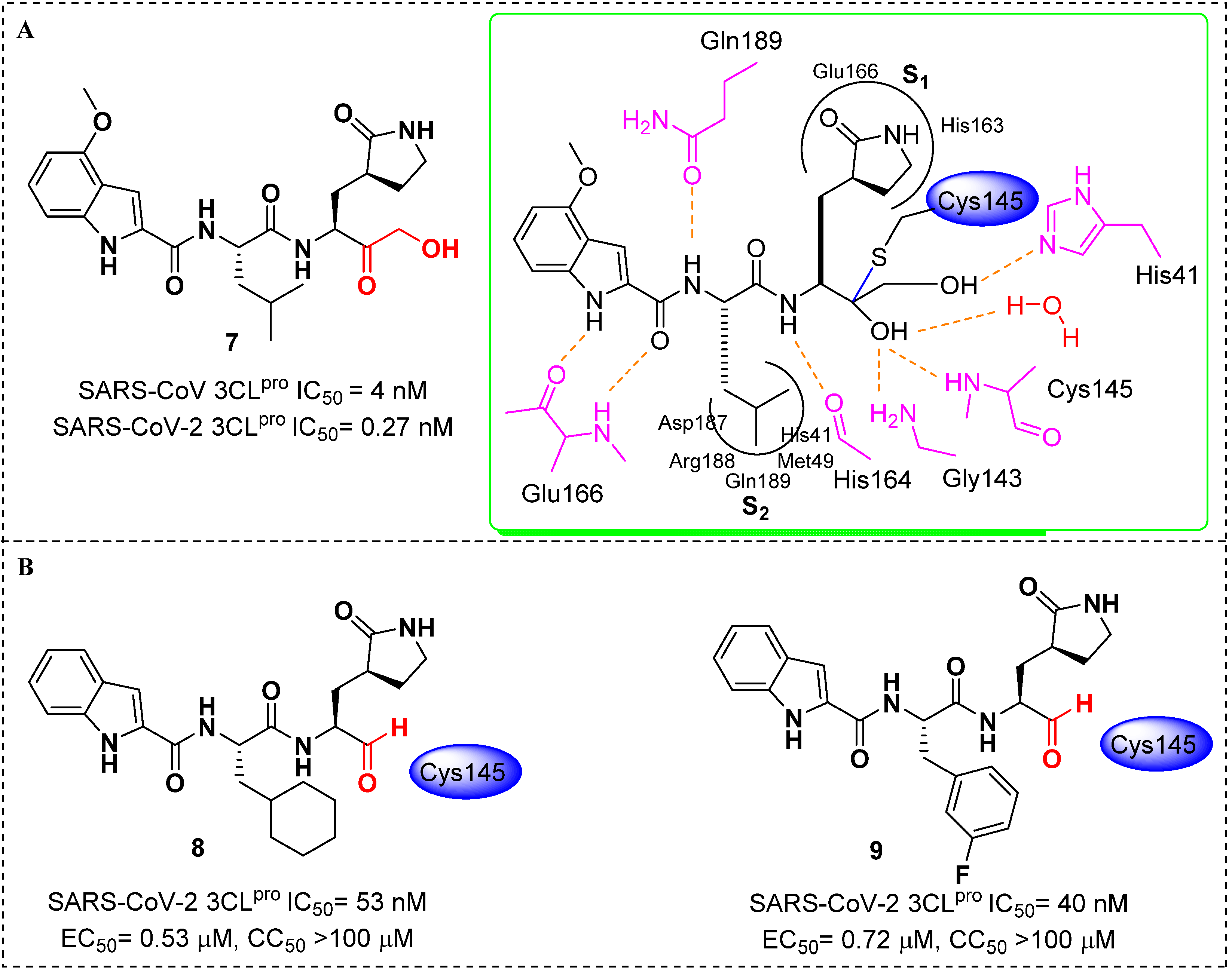 Molecules 27 00850 g005