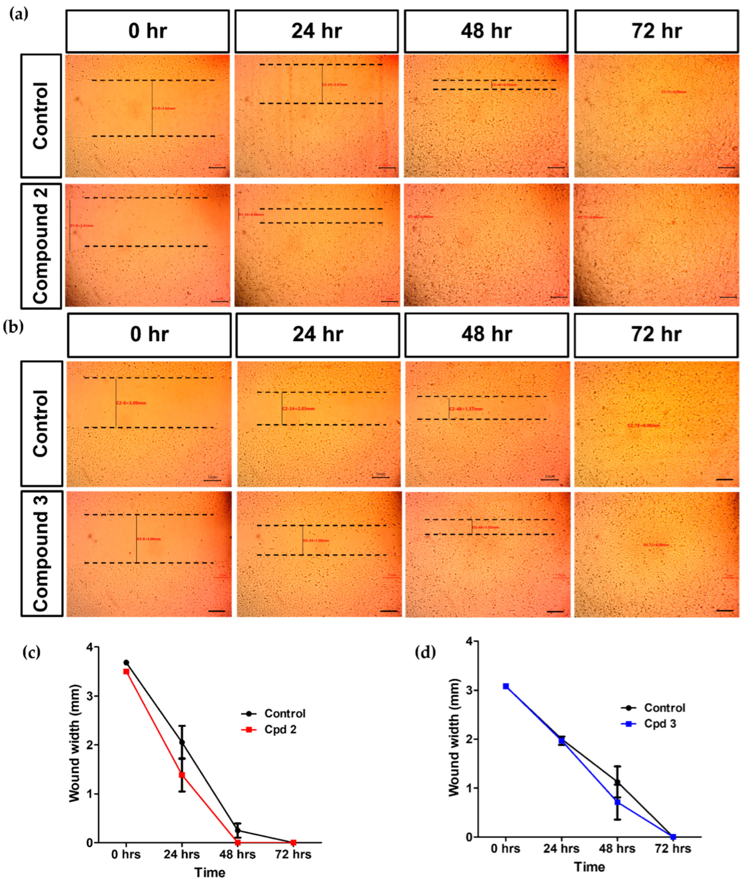 Molecules 27 00857 g007 Molecules 27 00857 g007
