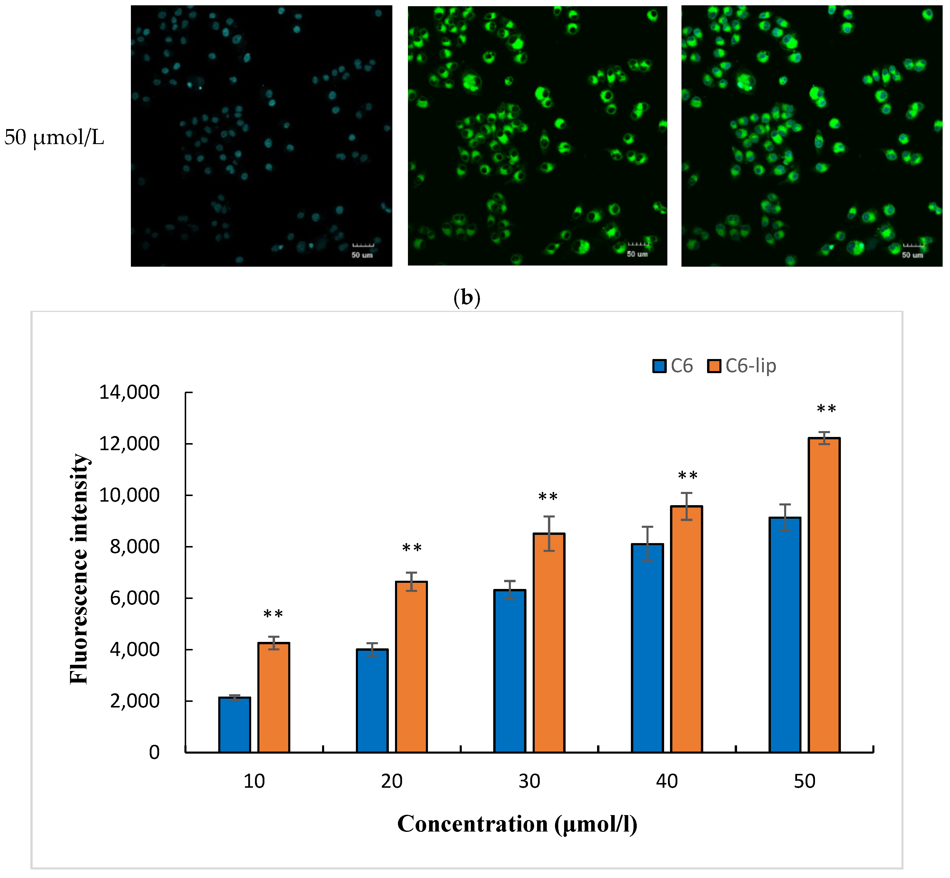 Molecules 27 00860 g006b