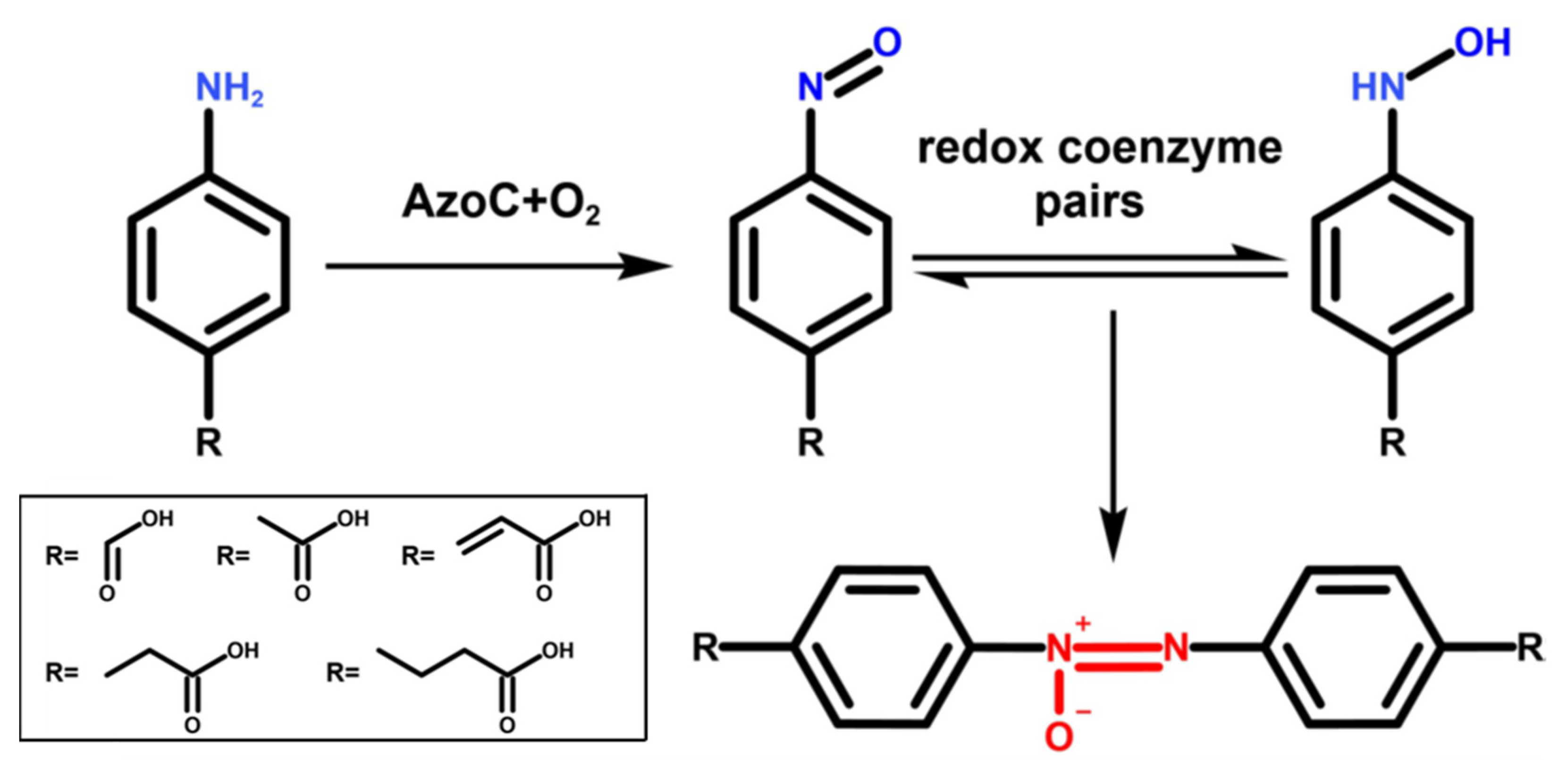 Molecules 27 00868 g001 550