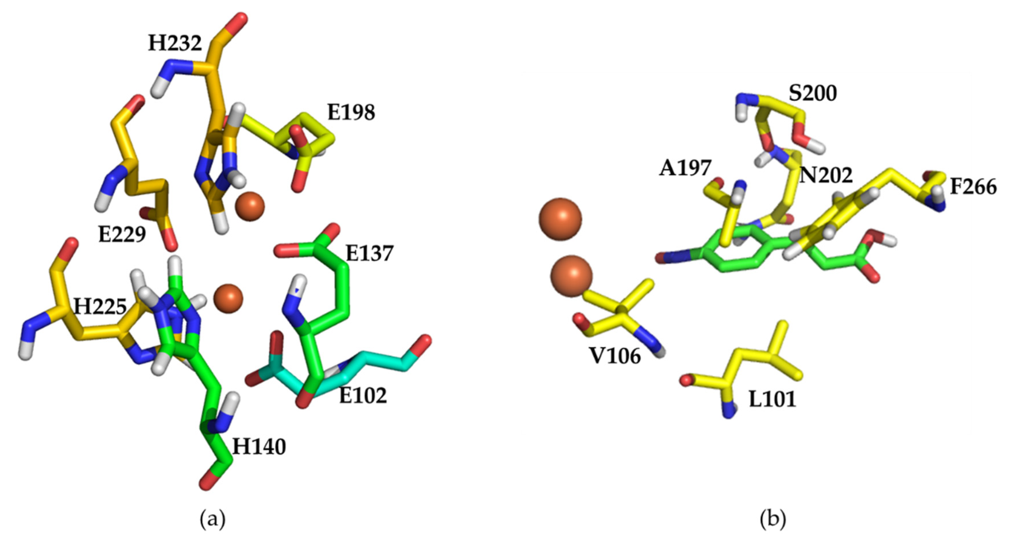 Molecules 27 00868 g003 550